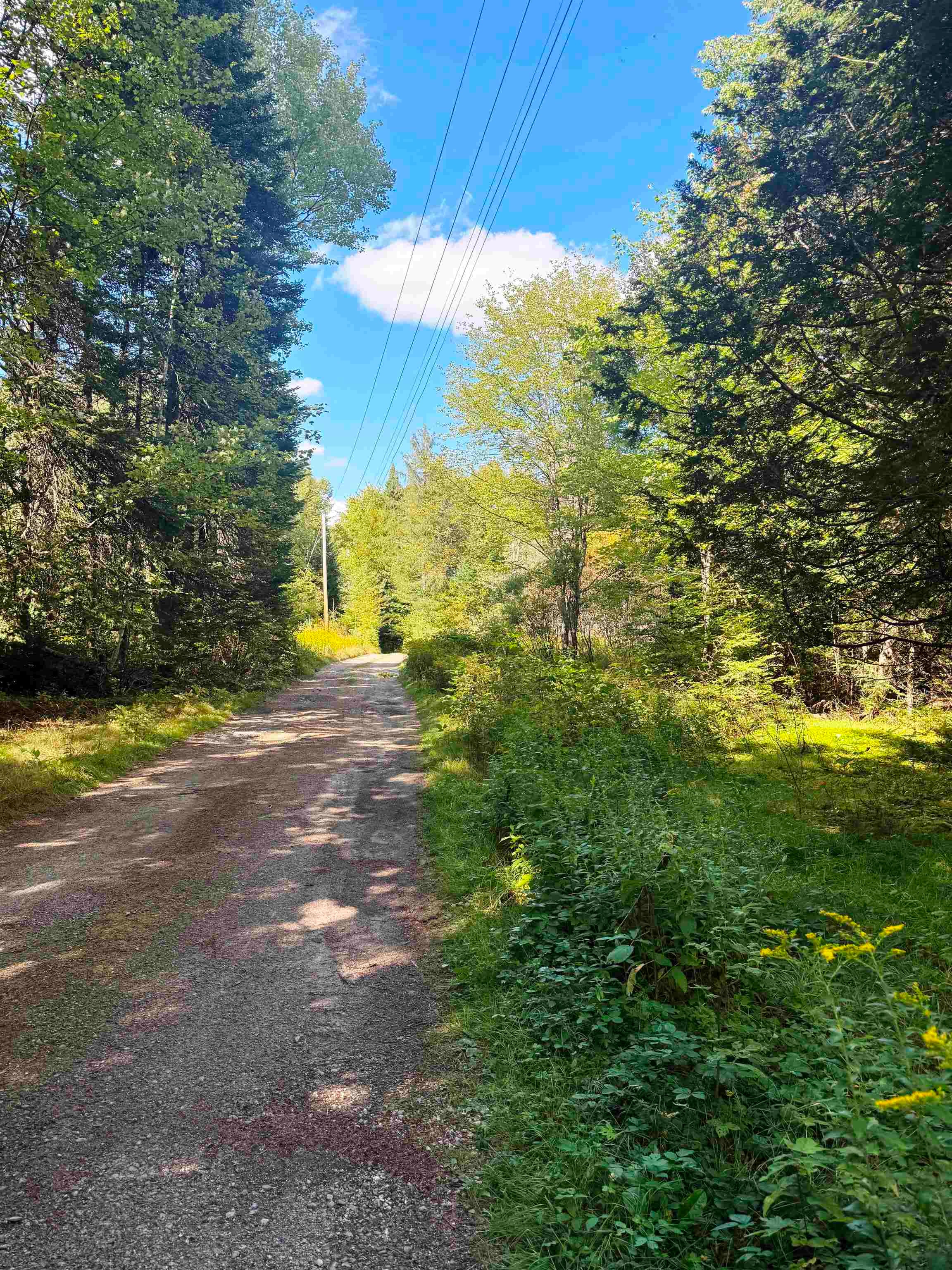 686 Wing Rd, Bethlehem, NH 03574