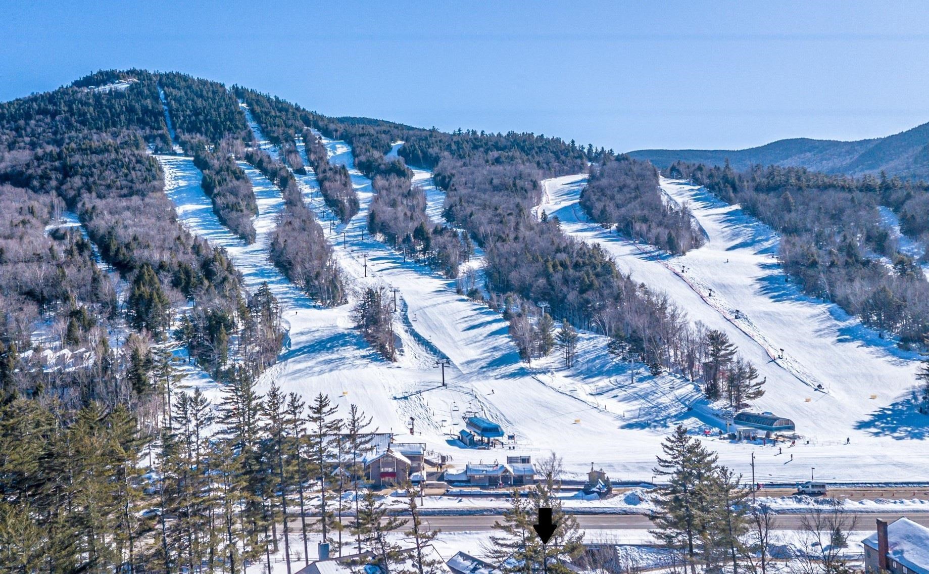 3 River Run Dr #A, Bartlett, NH 03812