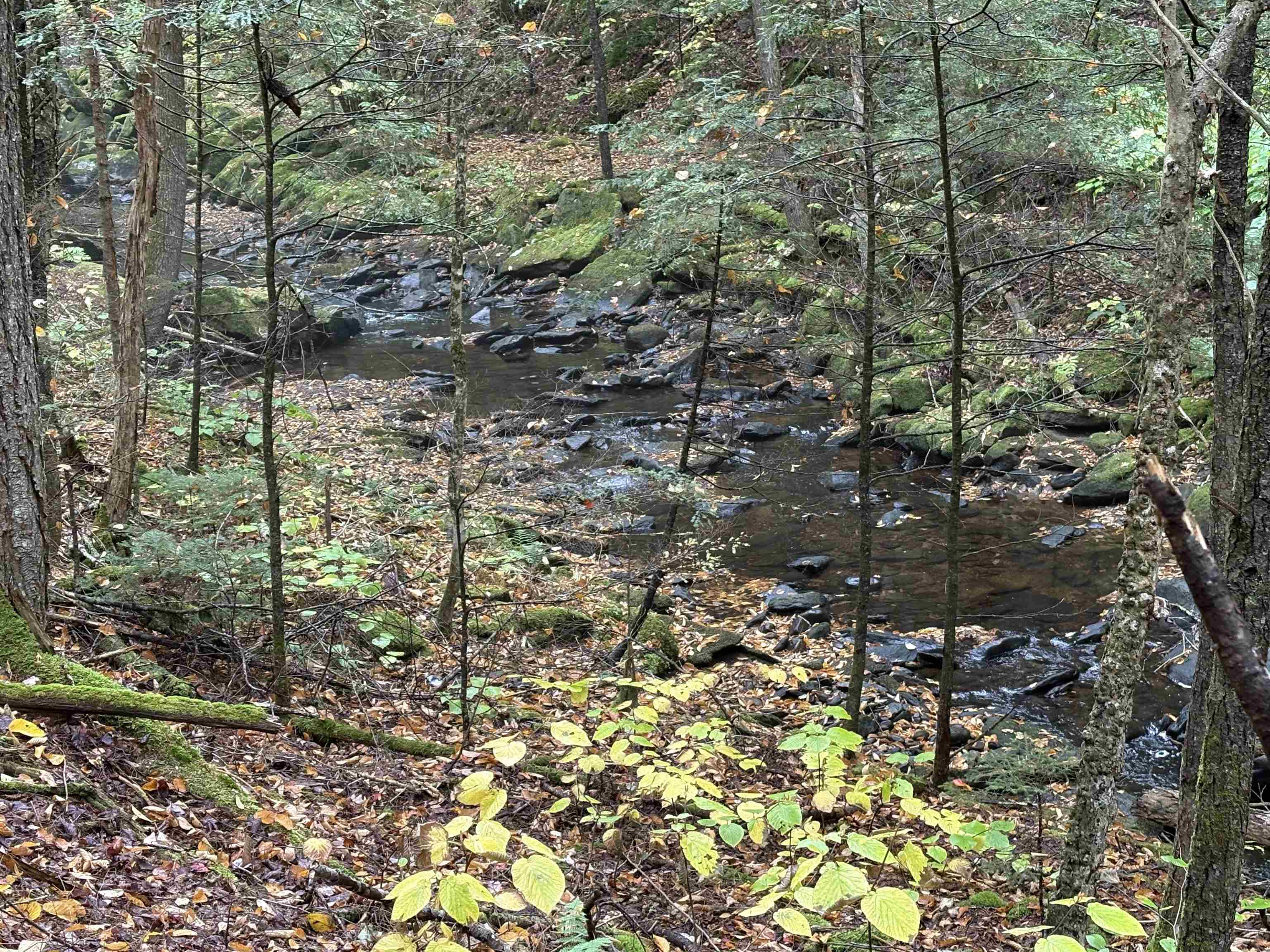 0 New Hampshire Route 25, Warren, NH 03279