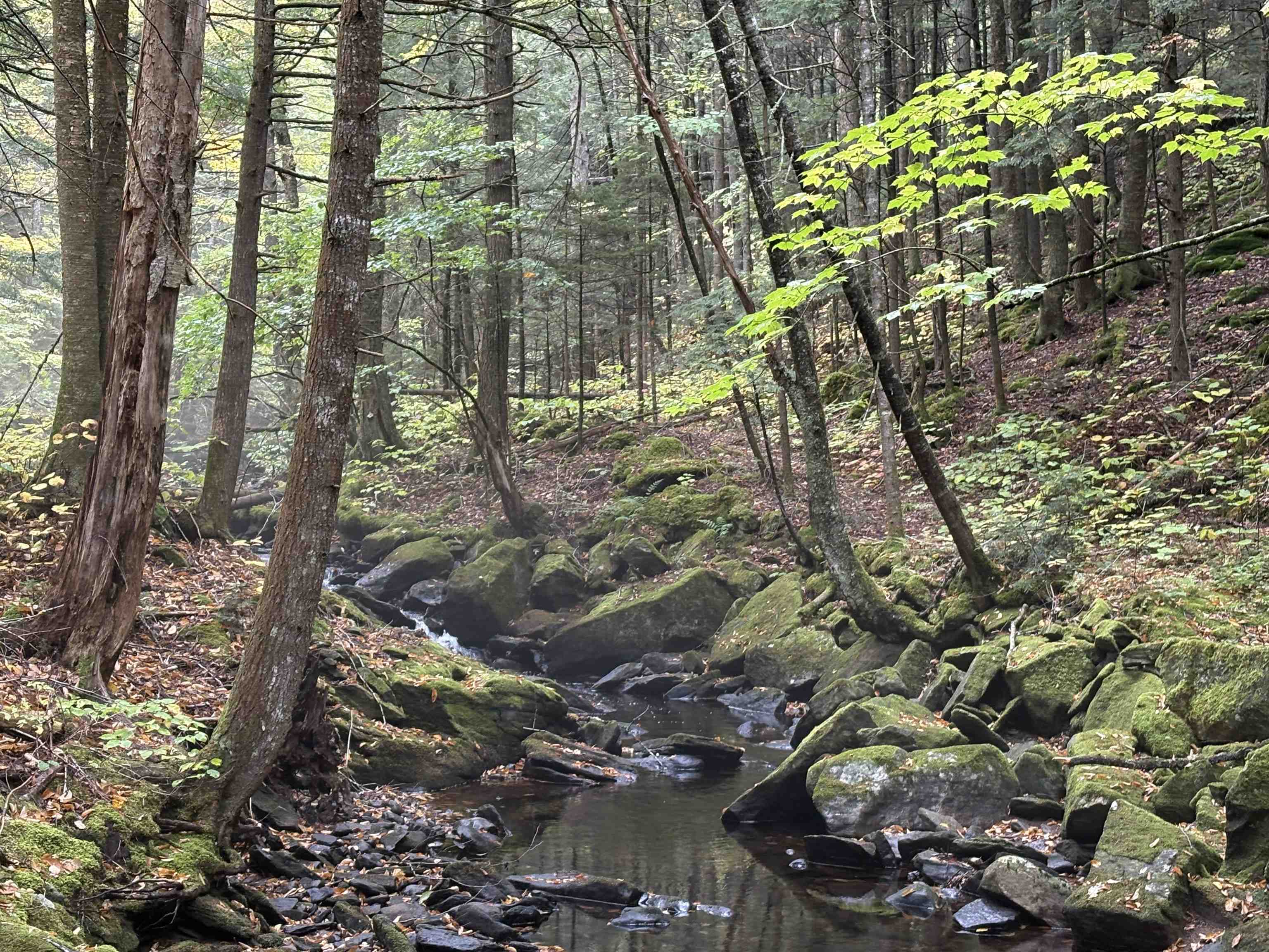 0 New Hampshire Route 25, Warren, NH 03279