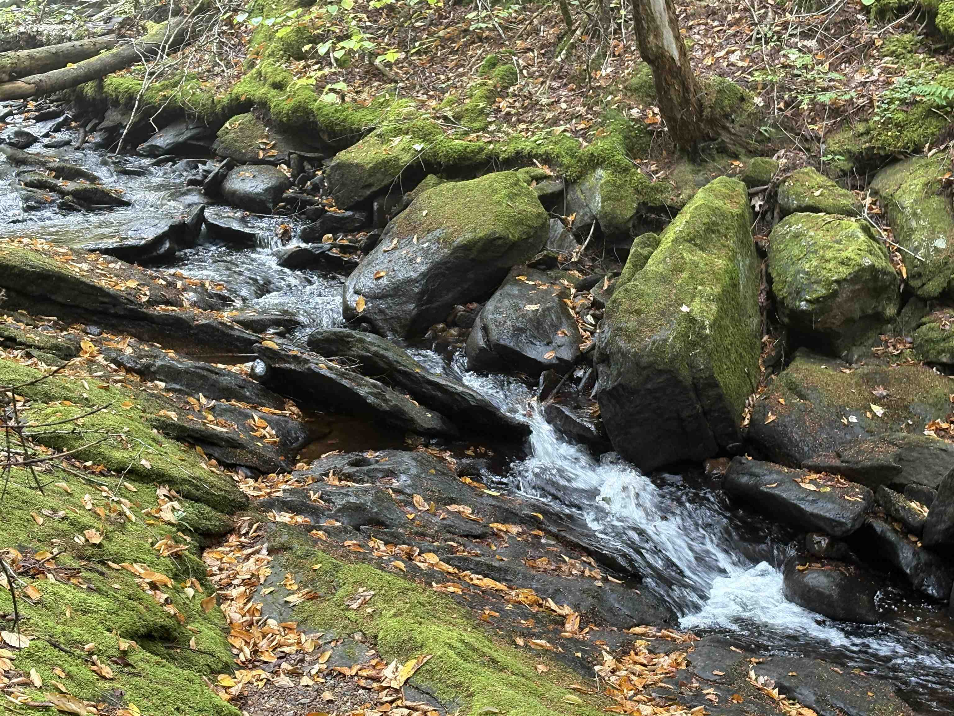 0 New Hampshire Route 25, Warren, NH 03279