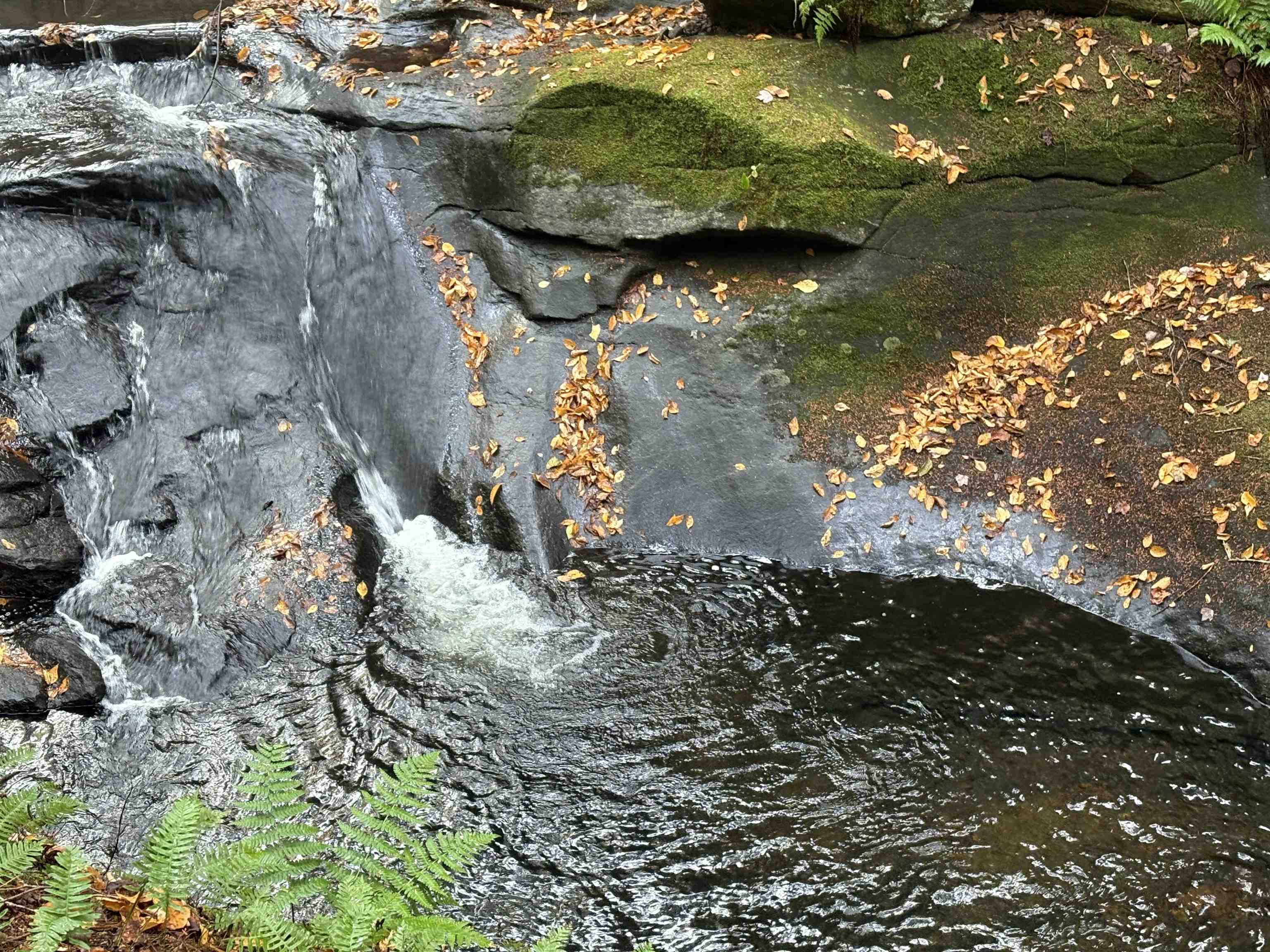 0 New Hampshire Route 25, Warren, NH 03279