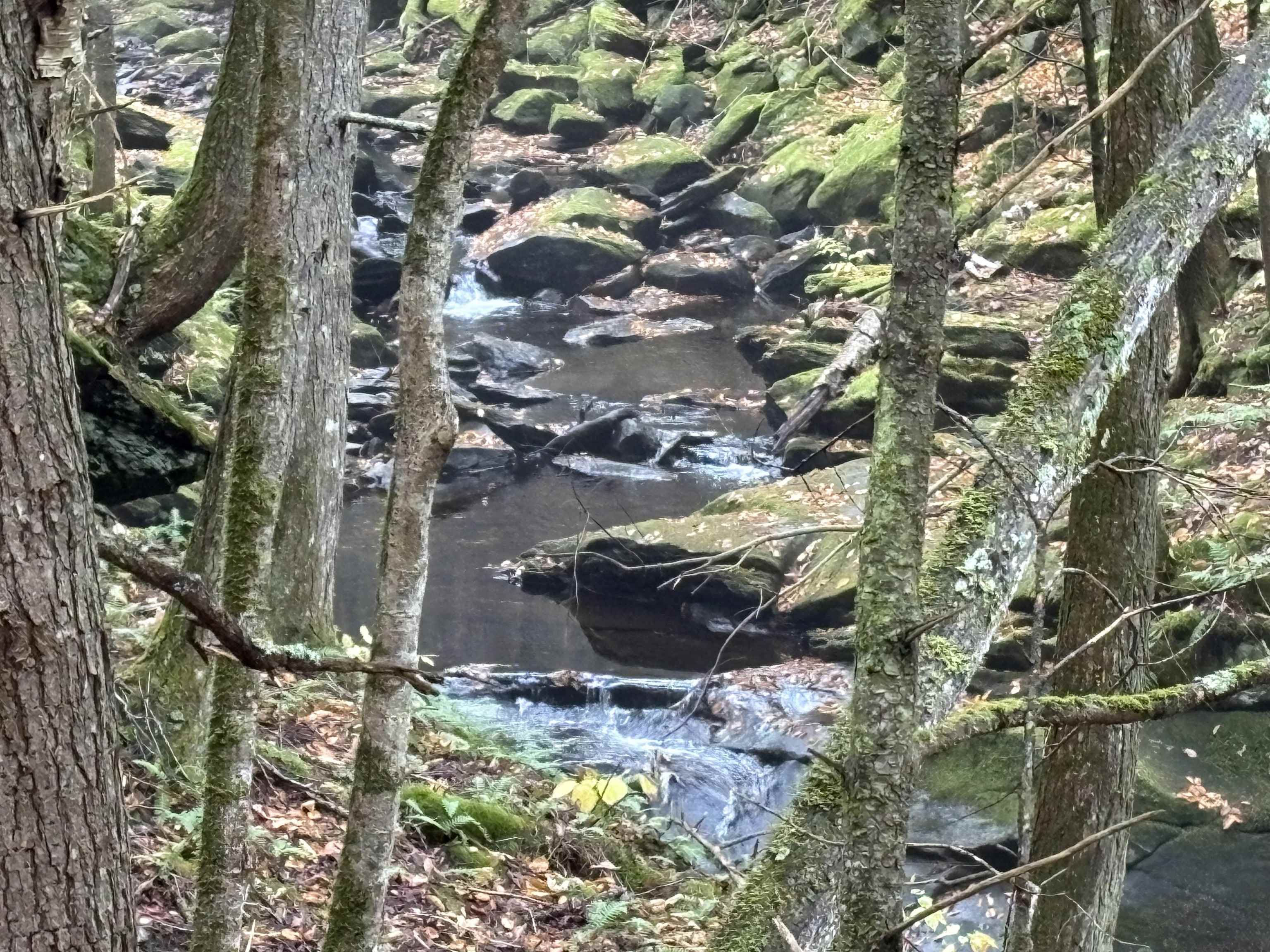 0 New Hampshire Route 25, Warren, NH 03279