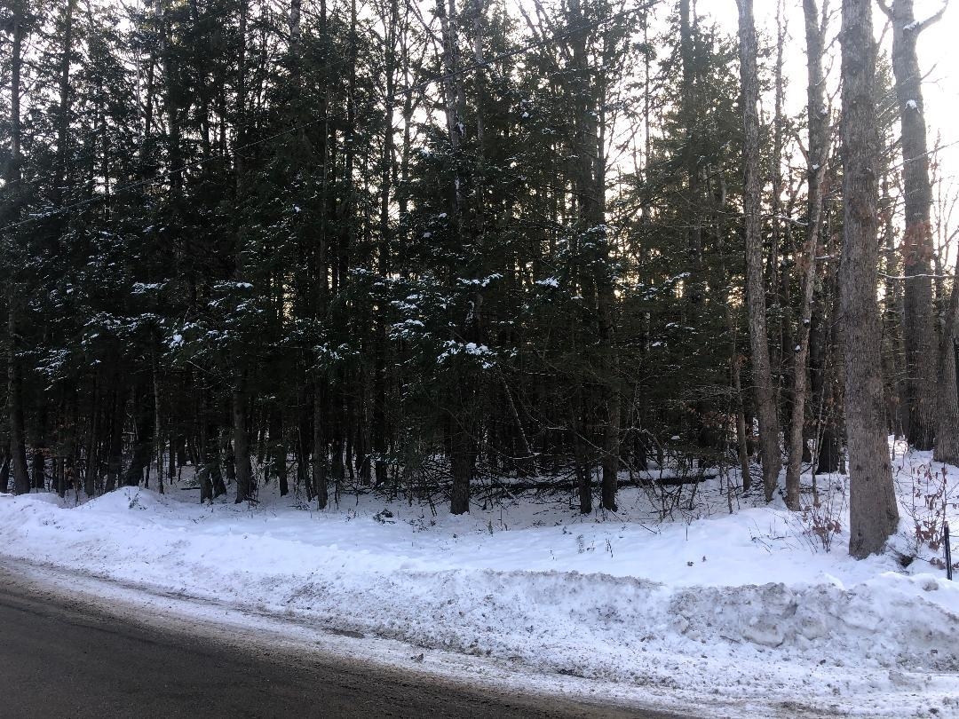 122 Centennial Dr, Webster, NH 03303