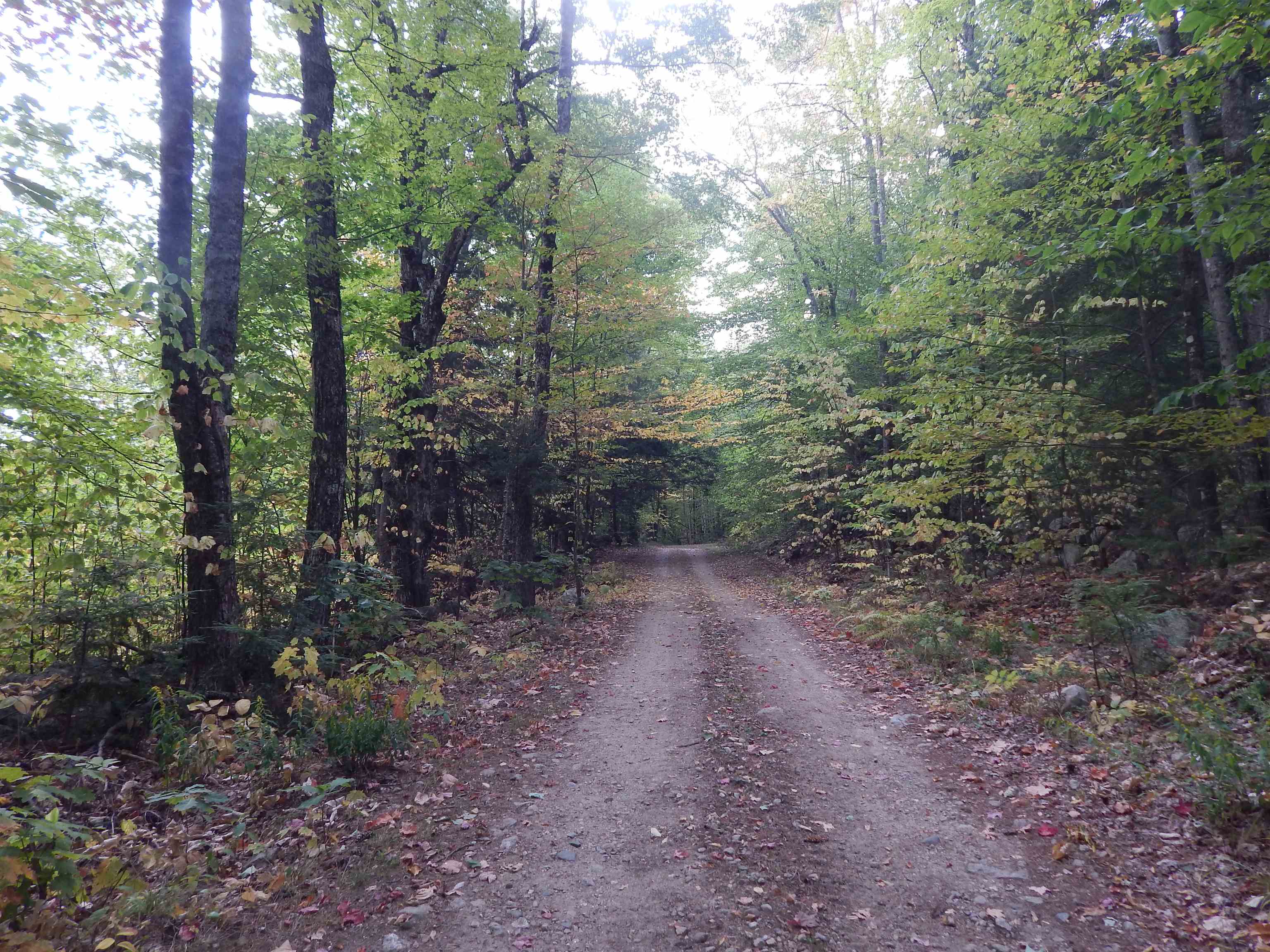 Homes for sale in Brownfield, ME | 13/50 Corn Hill Rd, Brownfield, ME 04010 | MLS# 5063044