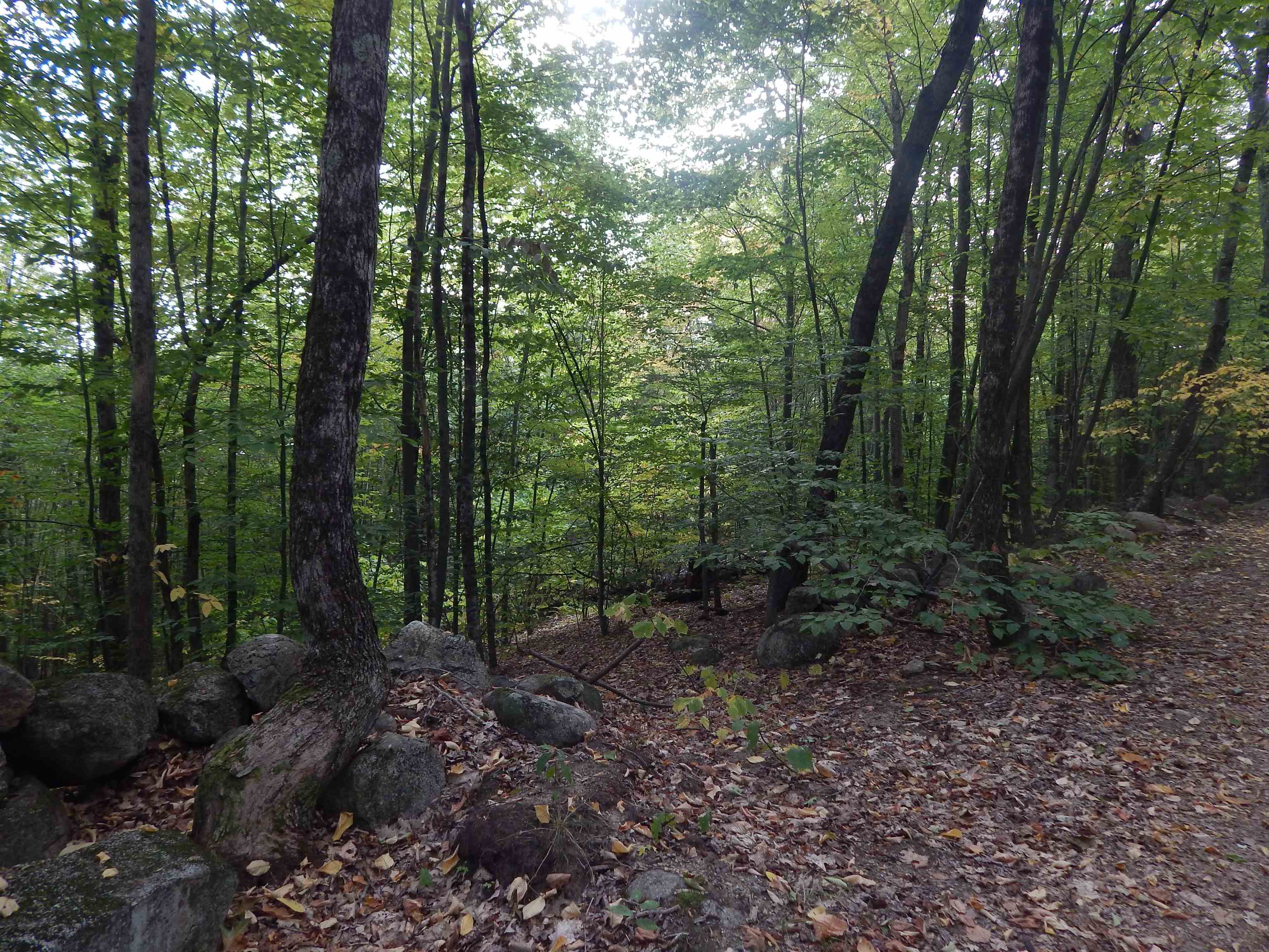 Homes for sale in Brownfield, ME | 13/50 Corn Hill Rd, Brownfield, ME 04010 | MLS# 5063044