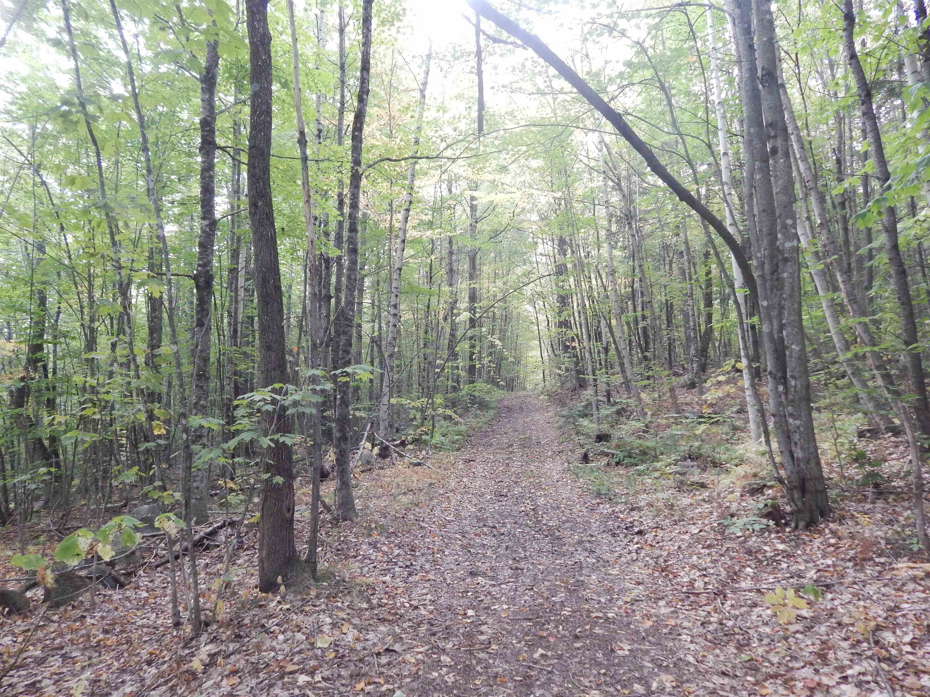 Homes for sale in Brownfield, ME | 13/50 Corn Hill Rd, Brownfield, ME 04010 | MLS# 5063044