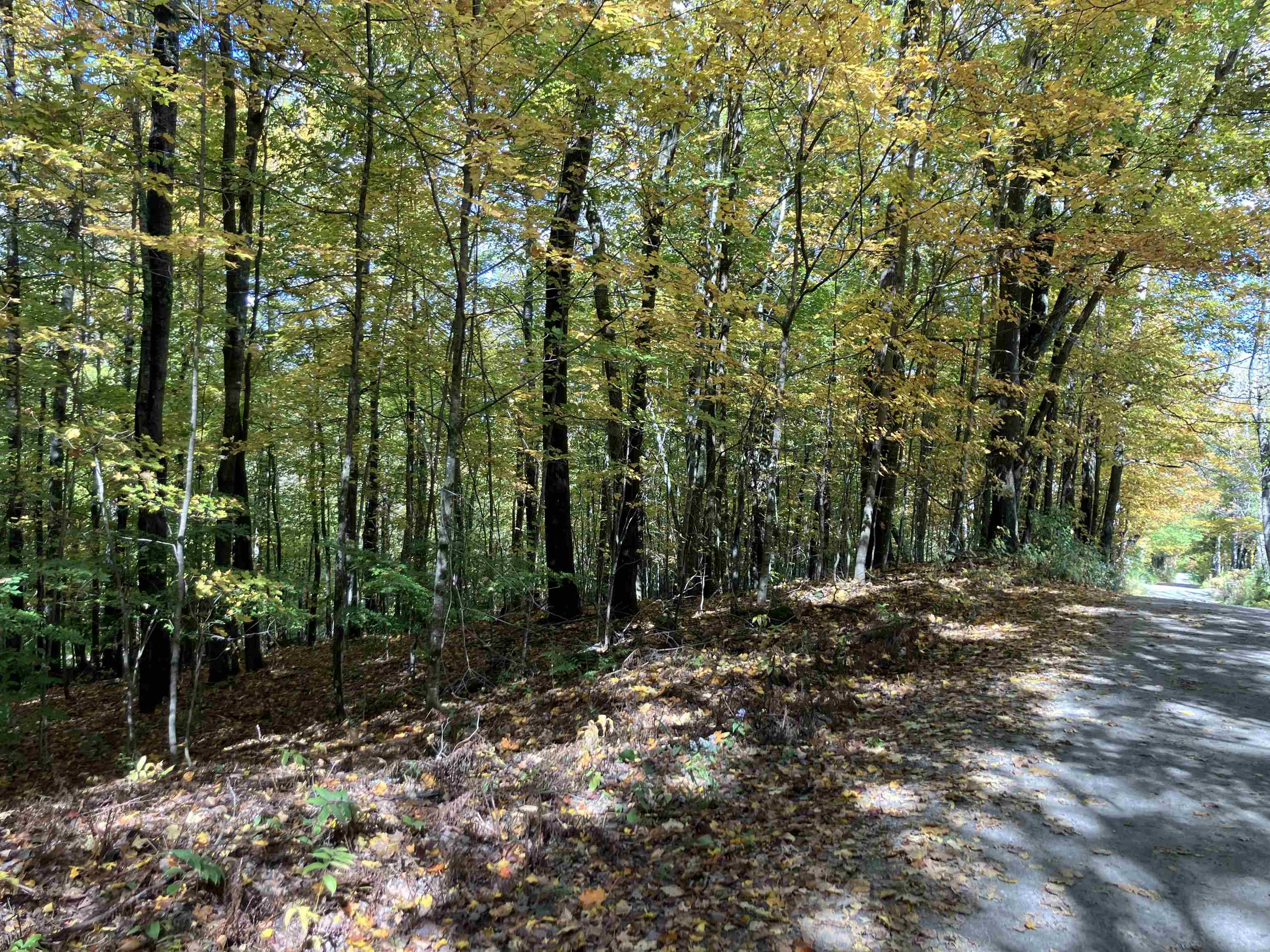 Lyme NH&nbsp;Land for sale $$420,000 | 29.92 Acres  | Price Per Acre $0 