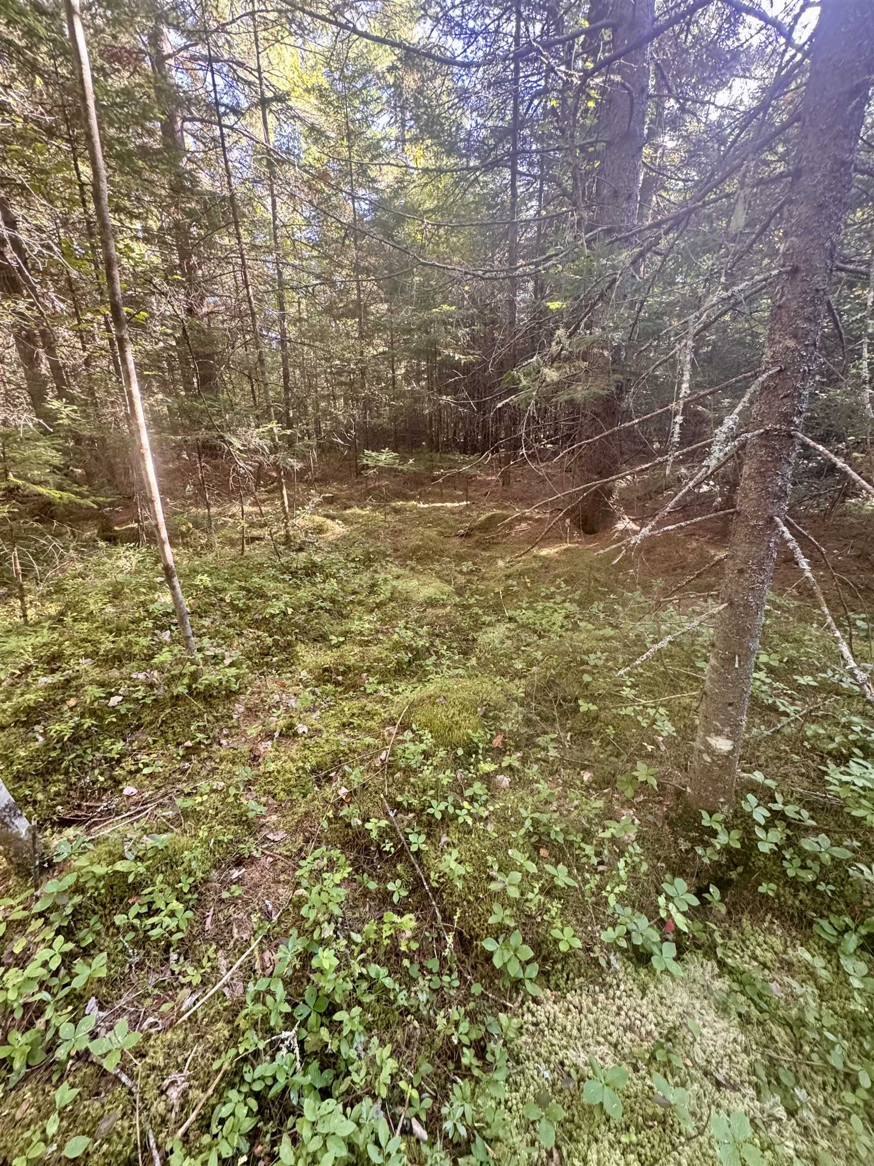 0 Thorn Hill Rd, Bethlehem, NH 03574