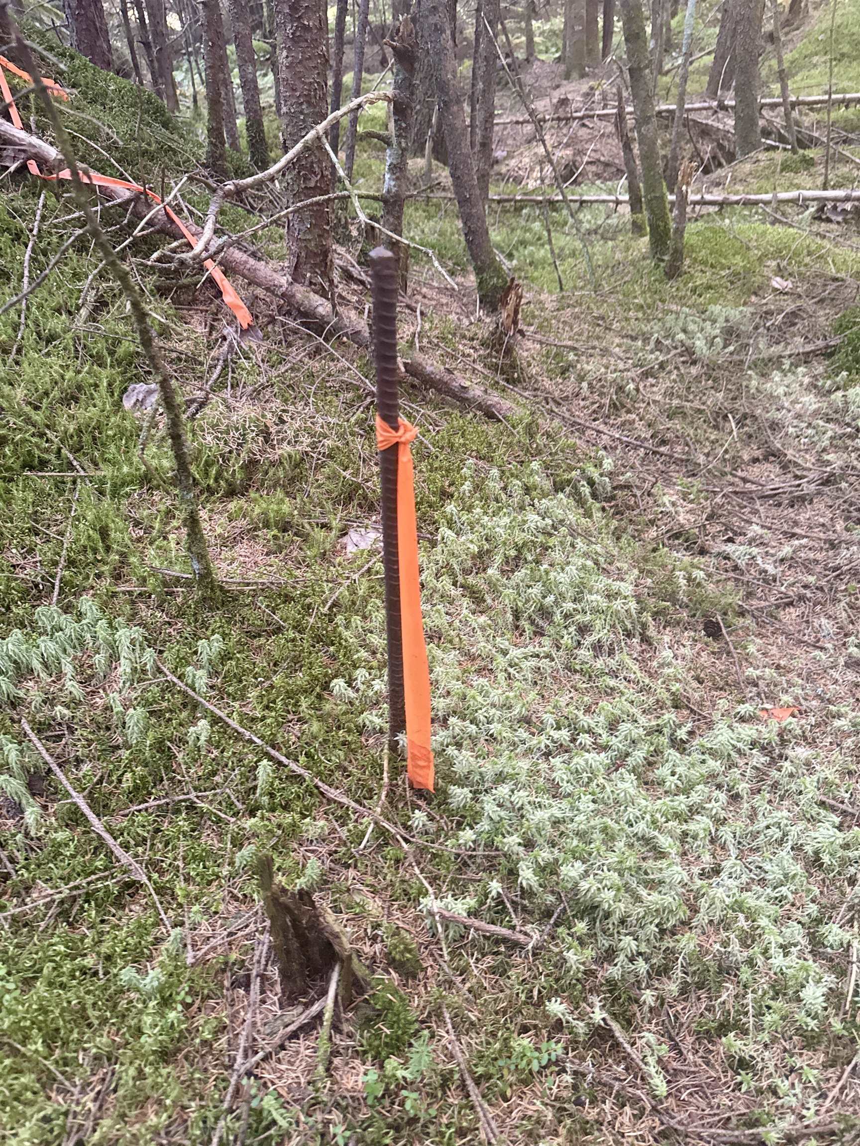 0 Thorn Hill Rd, Bethlehem, NH 03574