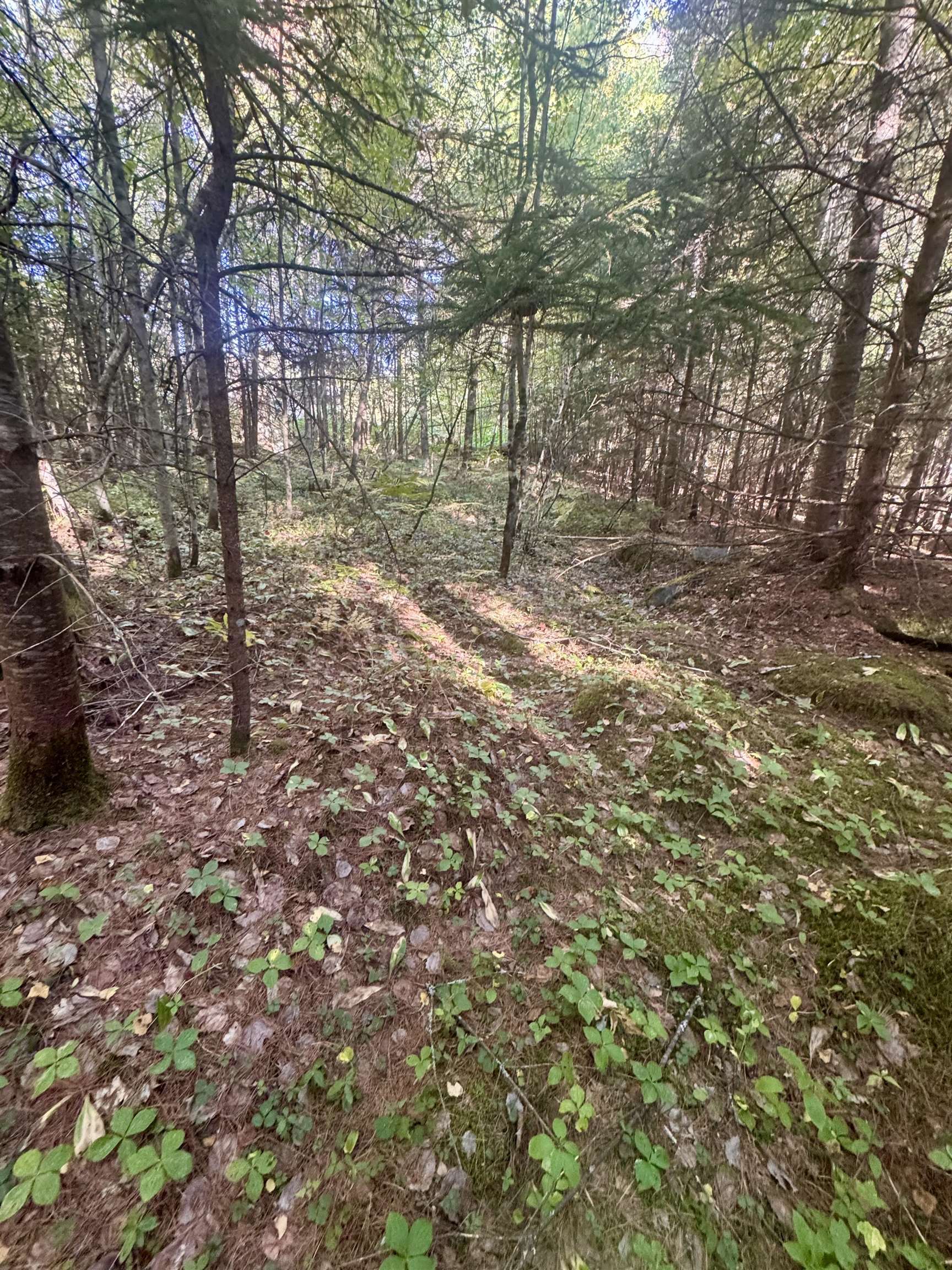 0 Thorn Hill Rd, Bethlehem, NH 03574