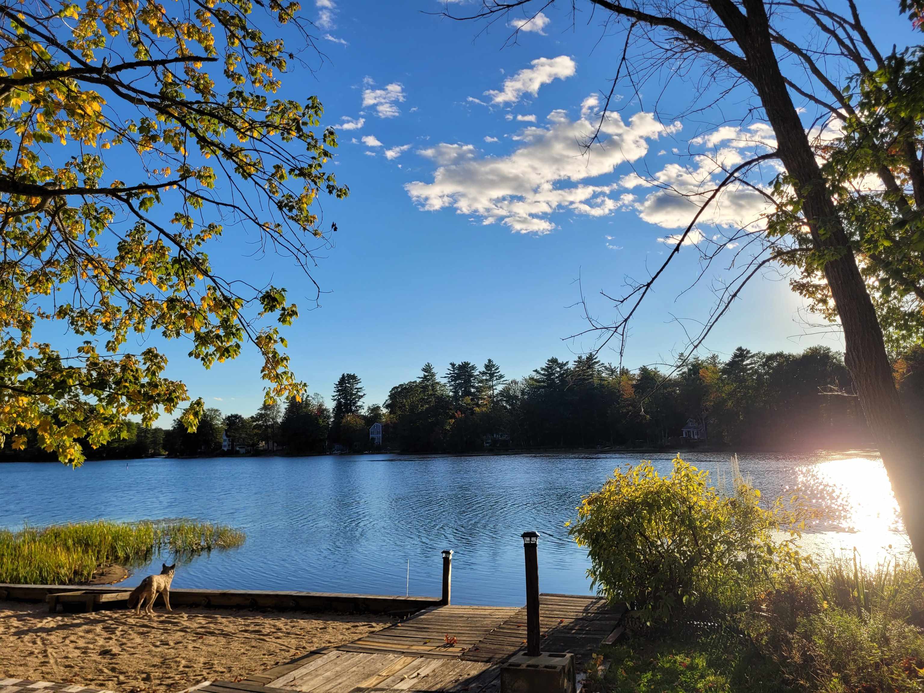 6 Davis Ln, Barrington, NH 03825