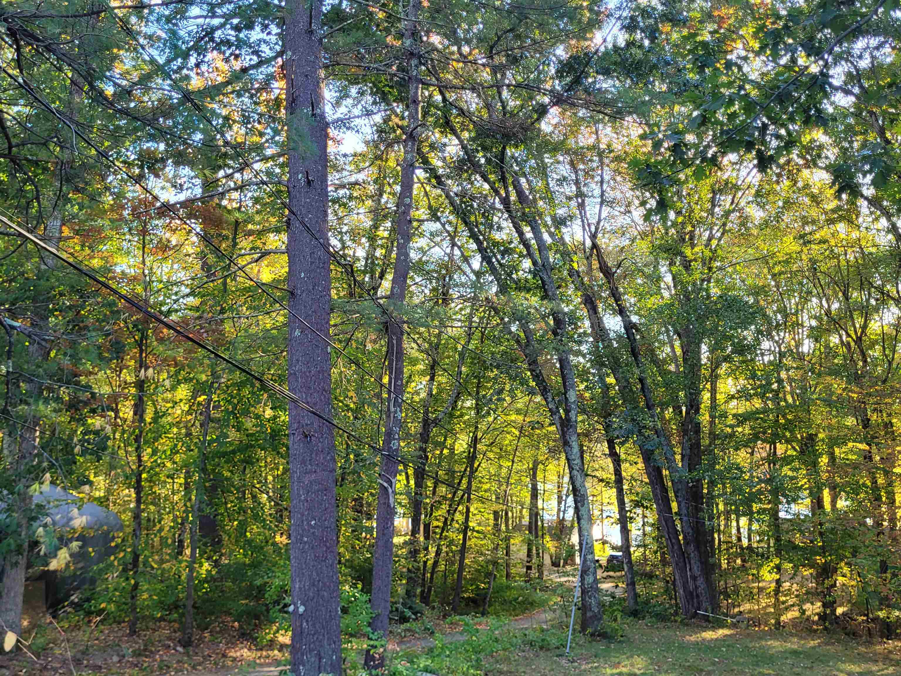 6 Davis Ln, Barrington, NH 03825