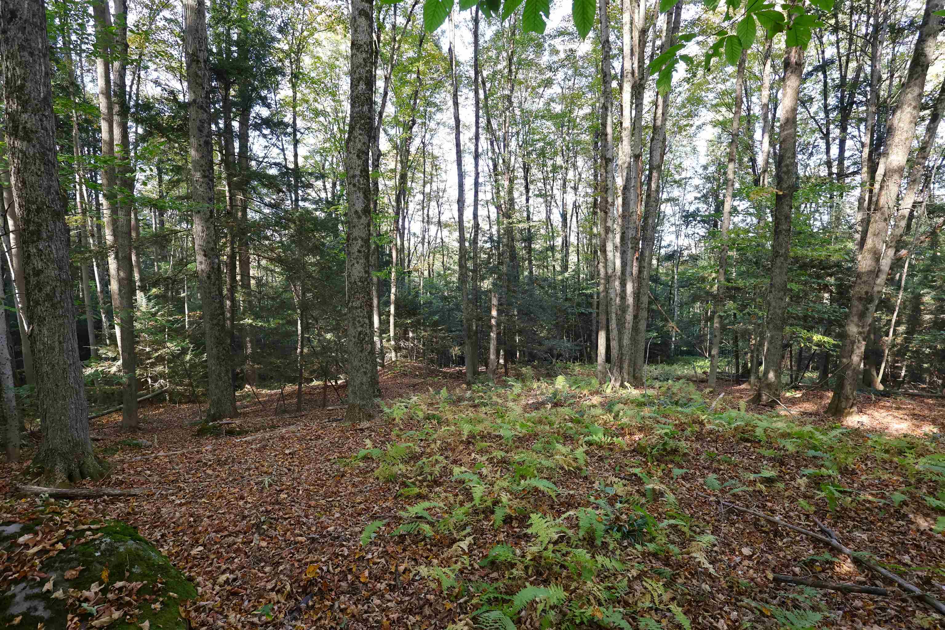 image of Hartford VT