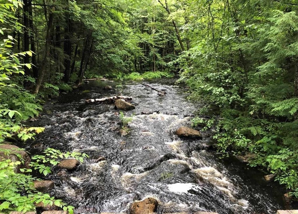 88 Chickville Rd, Ossipee, NH 03814