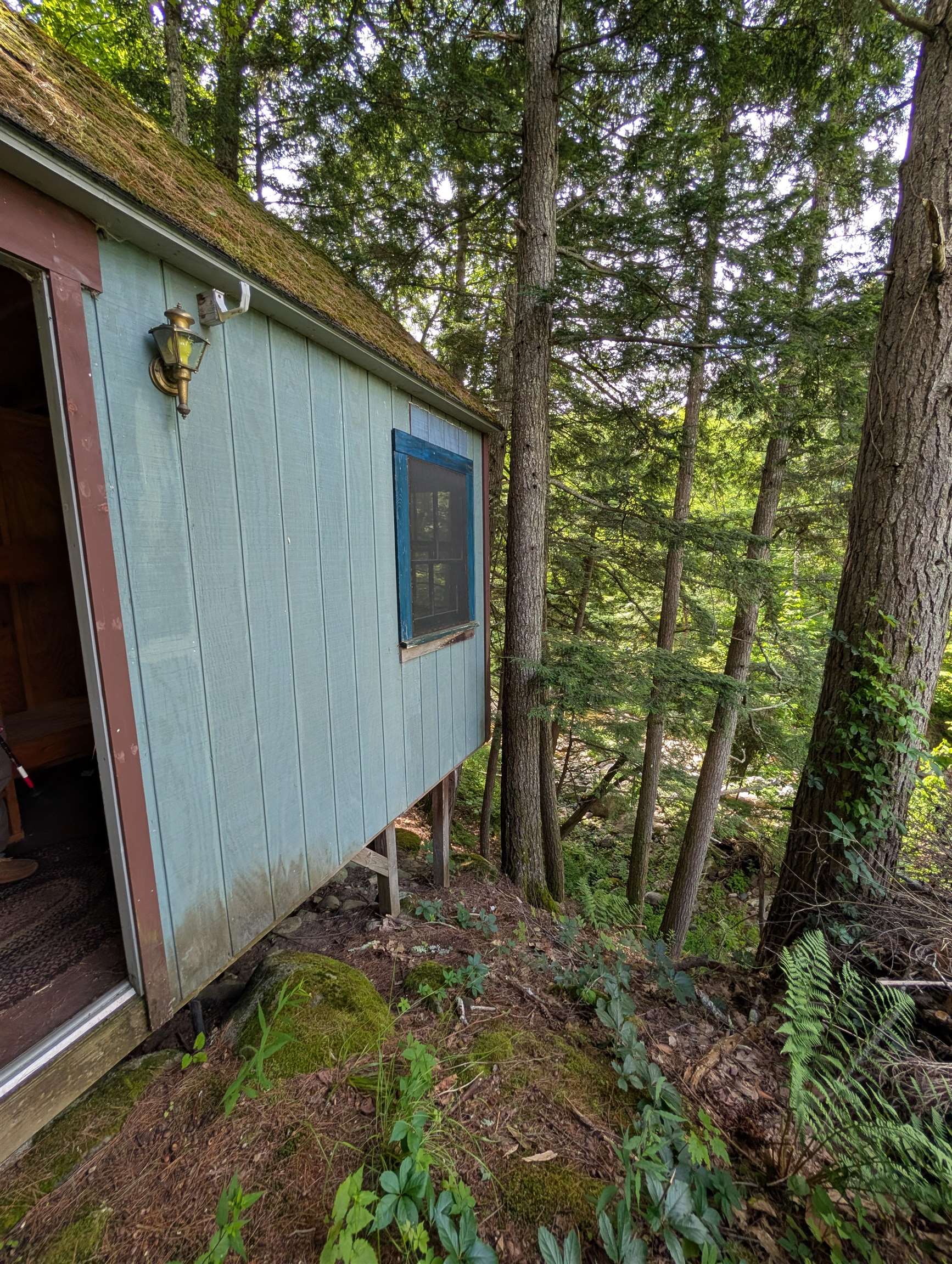 Overlooks Cold River