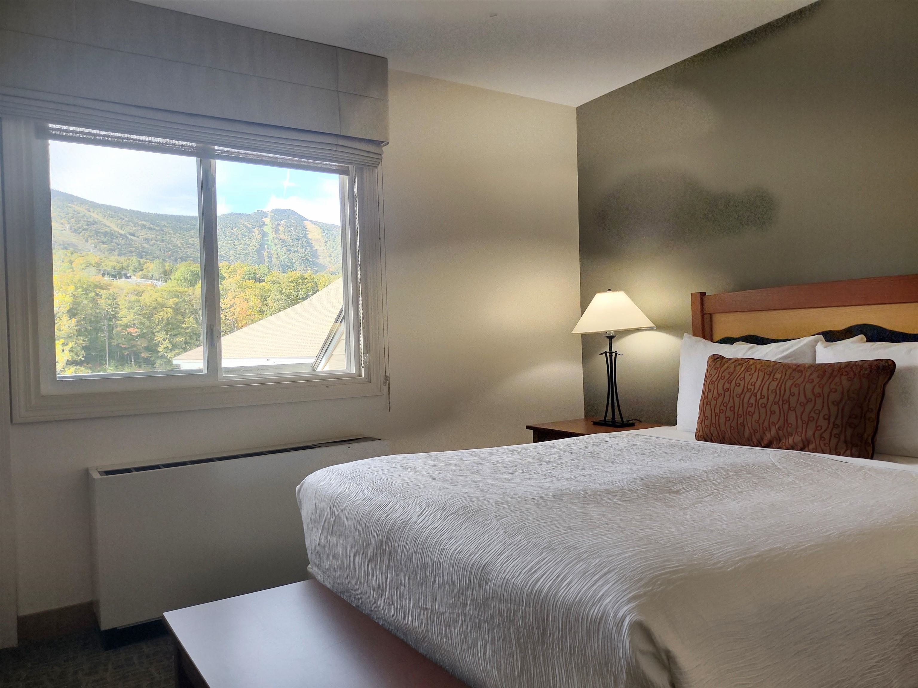Room with a view!