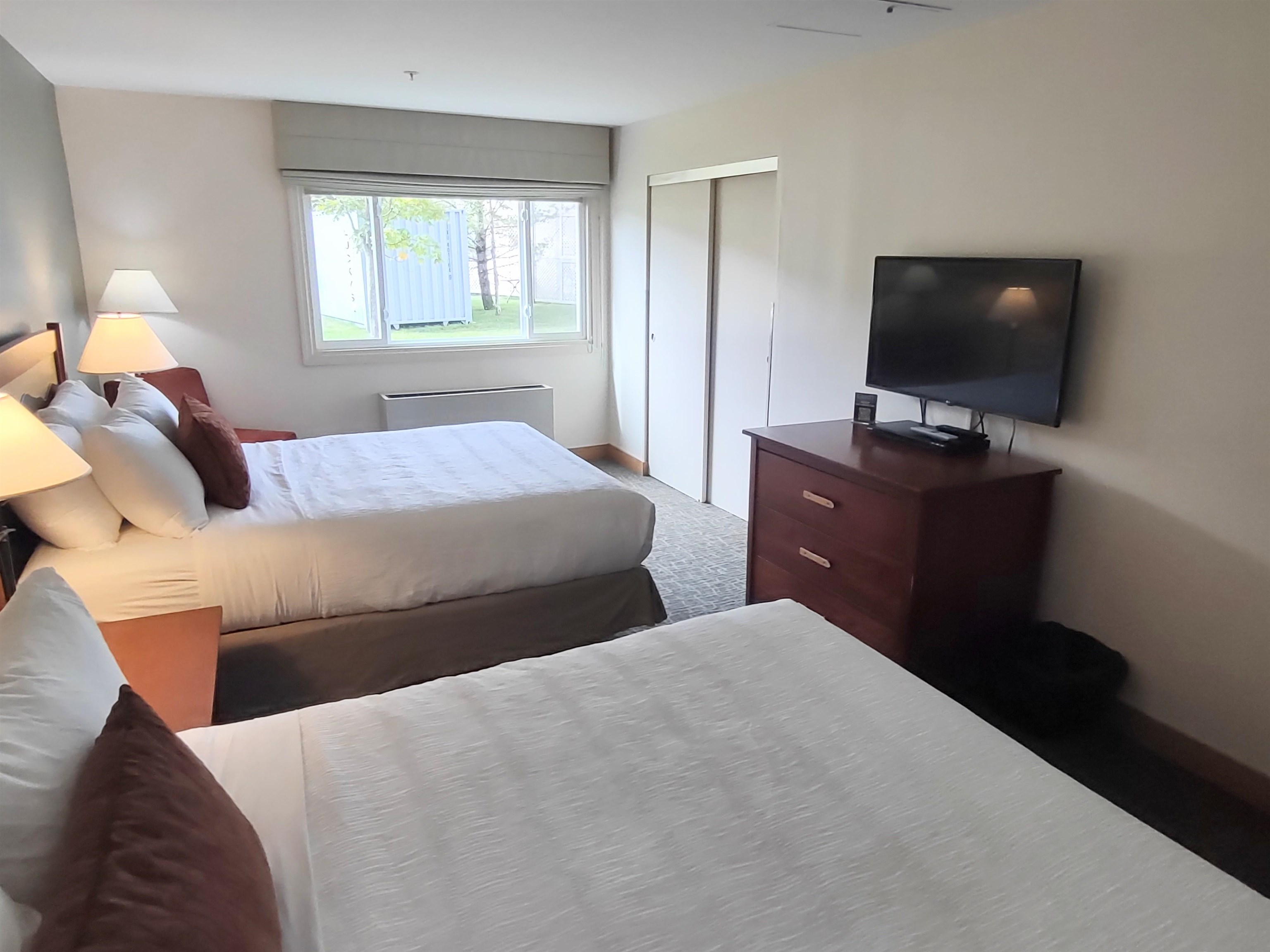 Downstairs bedroom