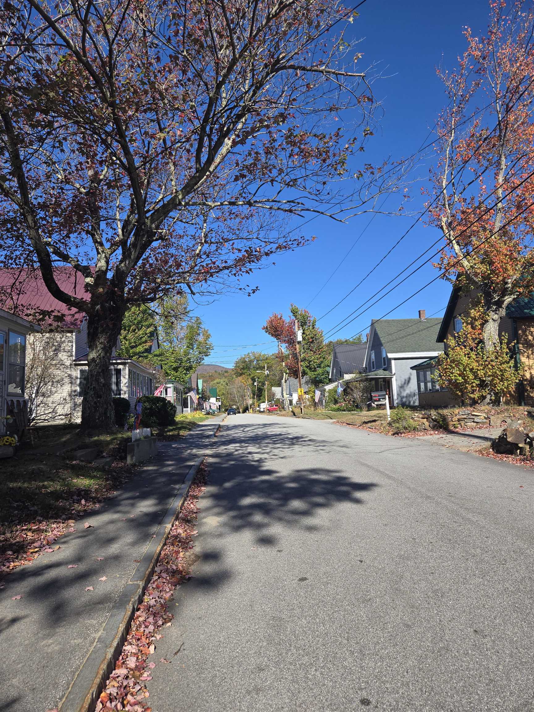 Maple Street