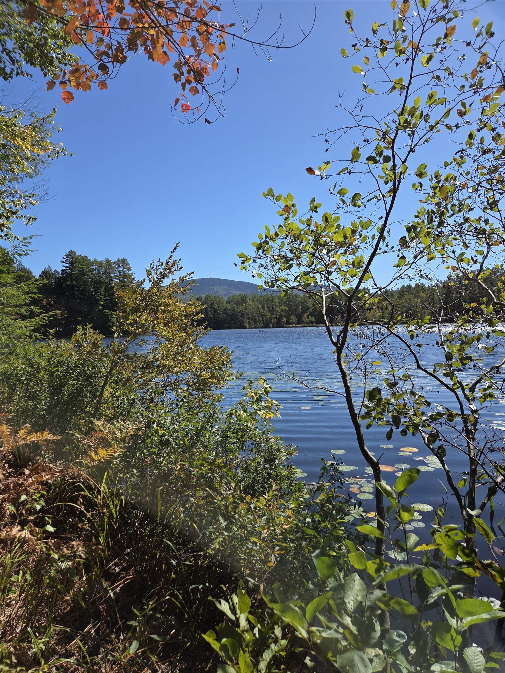 Photo 2 of Land for sale at Quiet Cove Way, Wilmot, NH 03287 | MLS# 5064270 | Listing updated on 2026-09-30