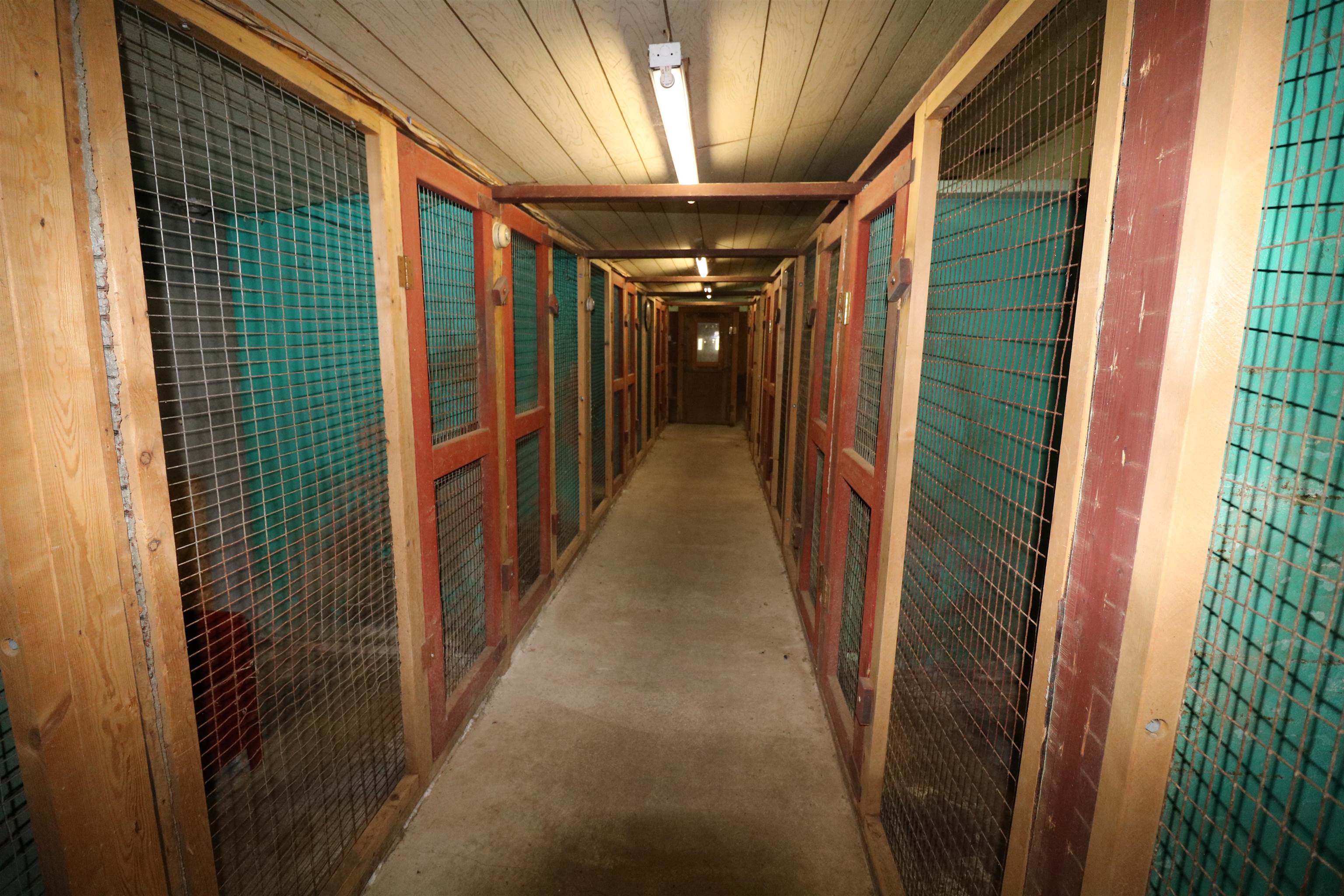 64 Old Ashburnham Rd, Rindge, NH 03461