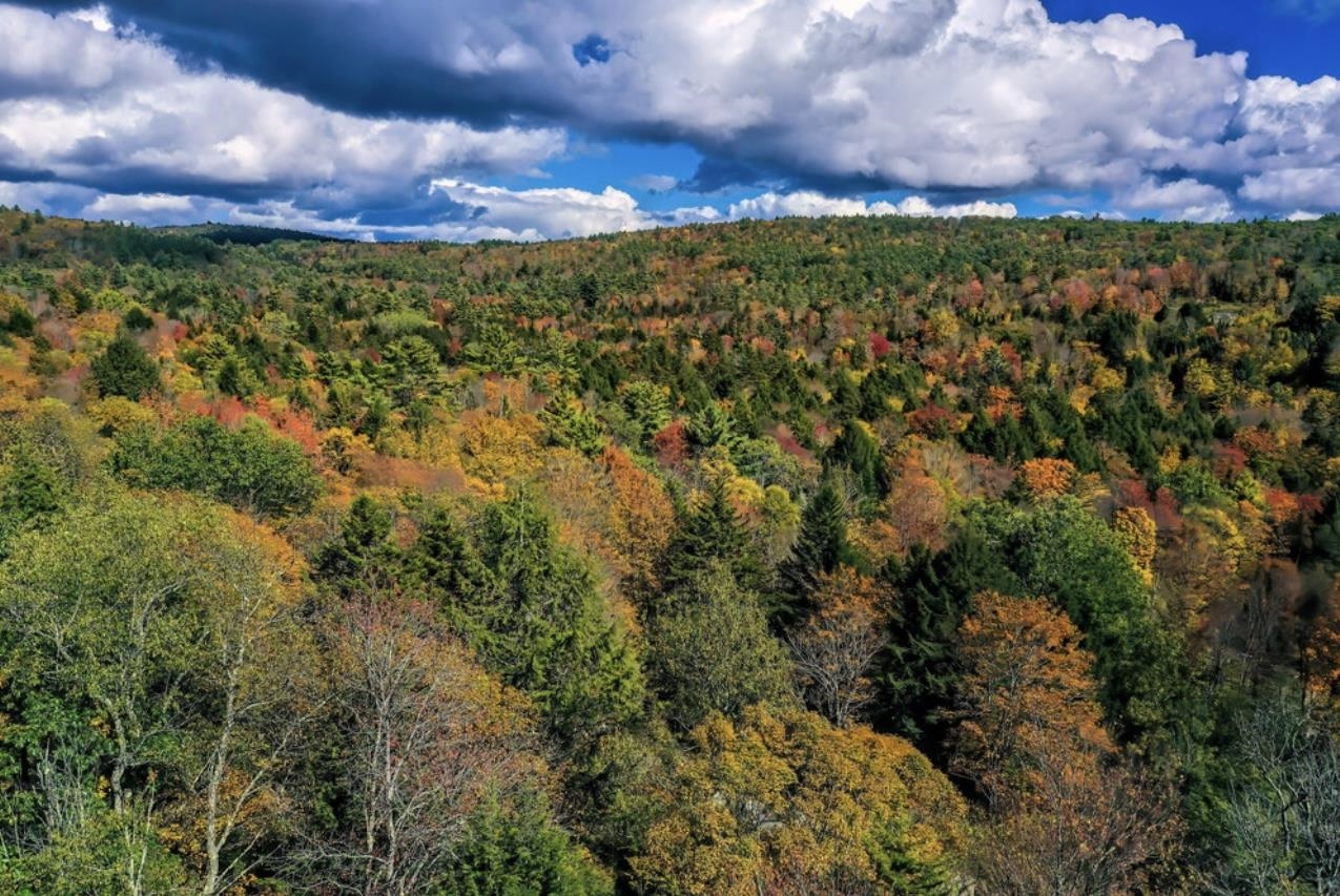 144 Keyes Hollow Rd, Lempster, NH 03605