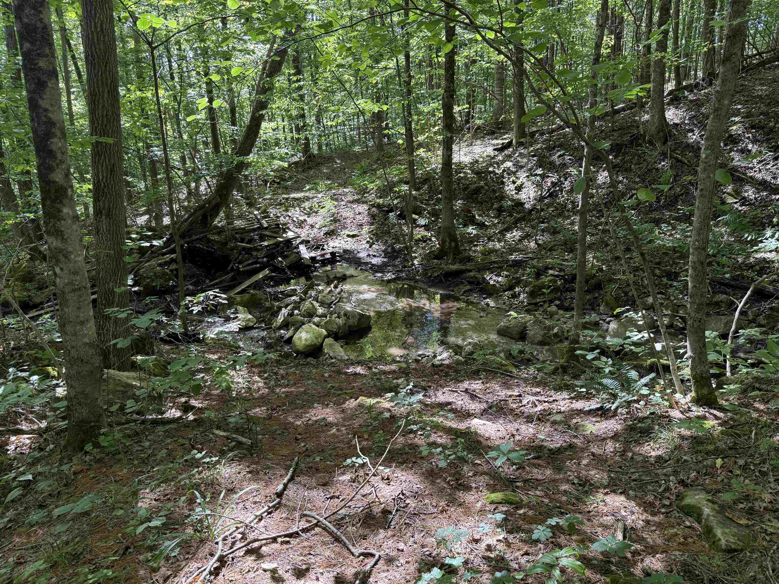 Property photo 28