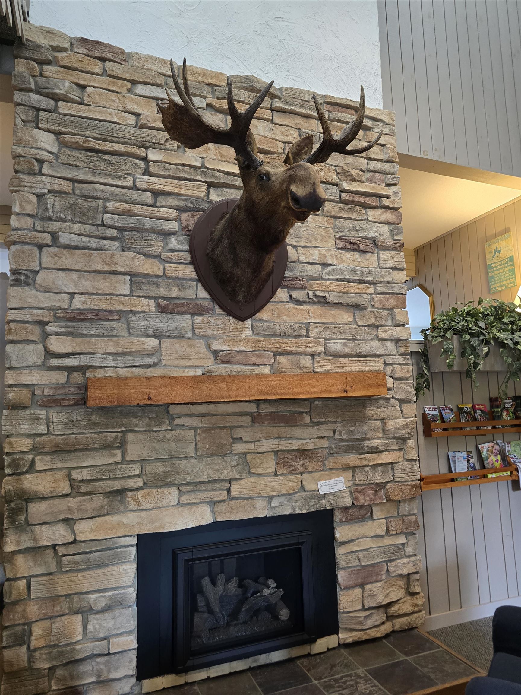 46 Packards Rd #405- Week 28, Waterville Valley, NH 03215