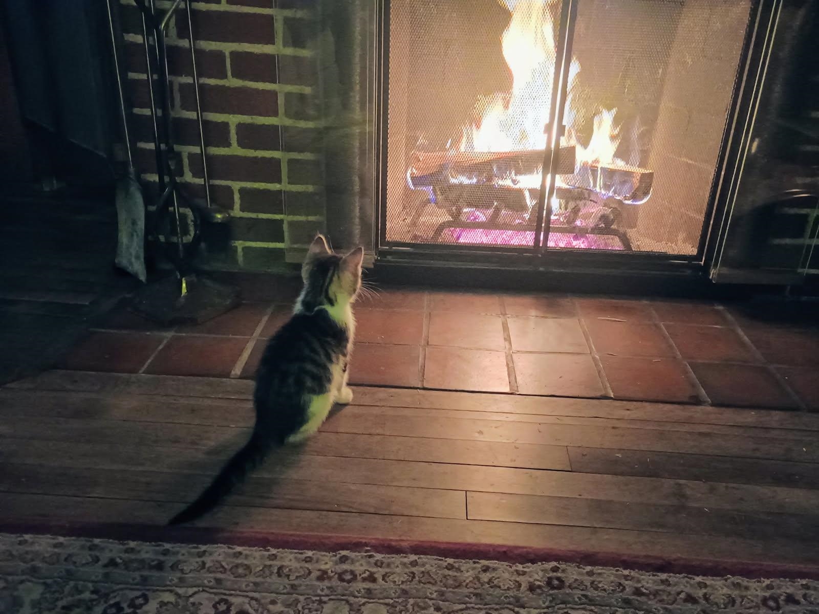 25 Laurel St, Berlin, NH 03570