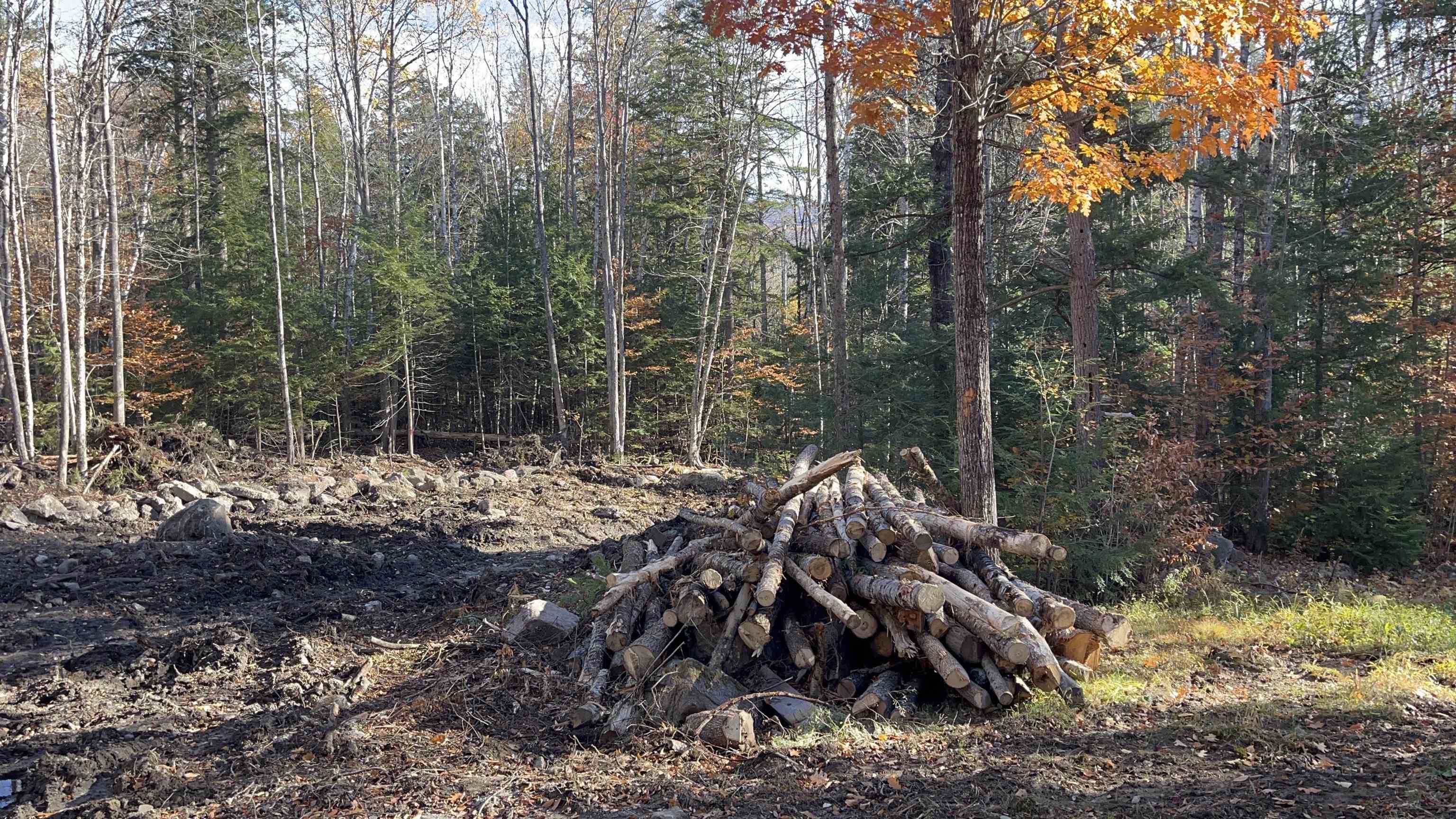 Newly Cleared Building Site