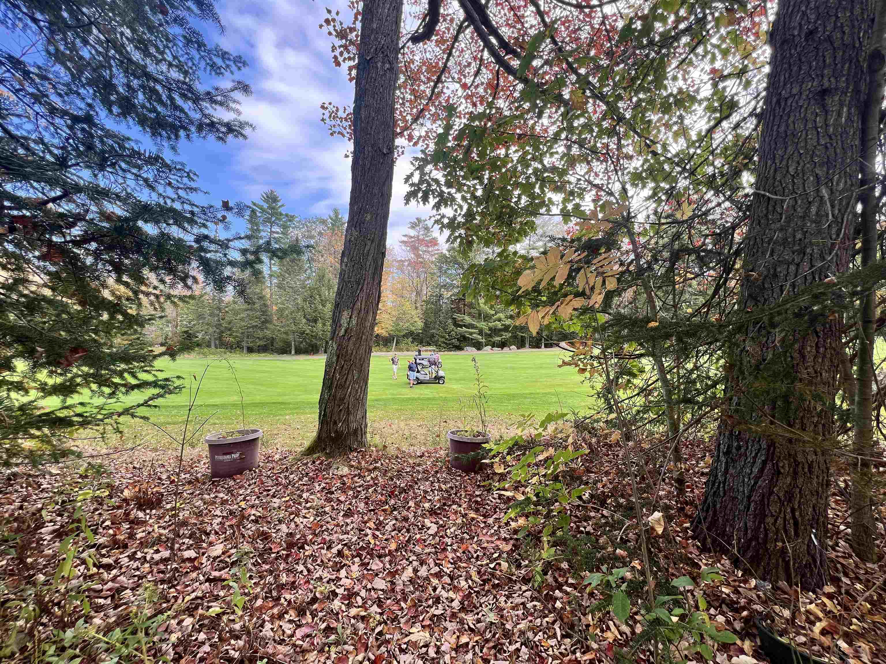 Village of Eastman in Town of Grantham NH&nbsp;Single Family for sale