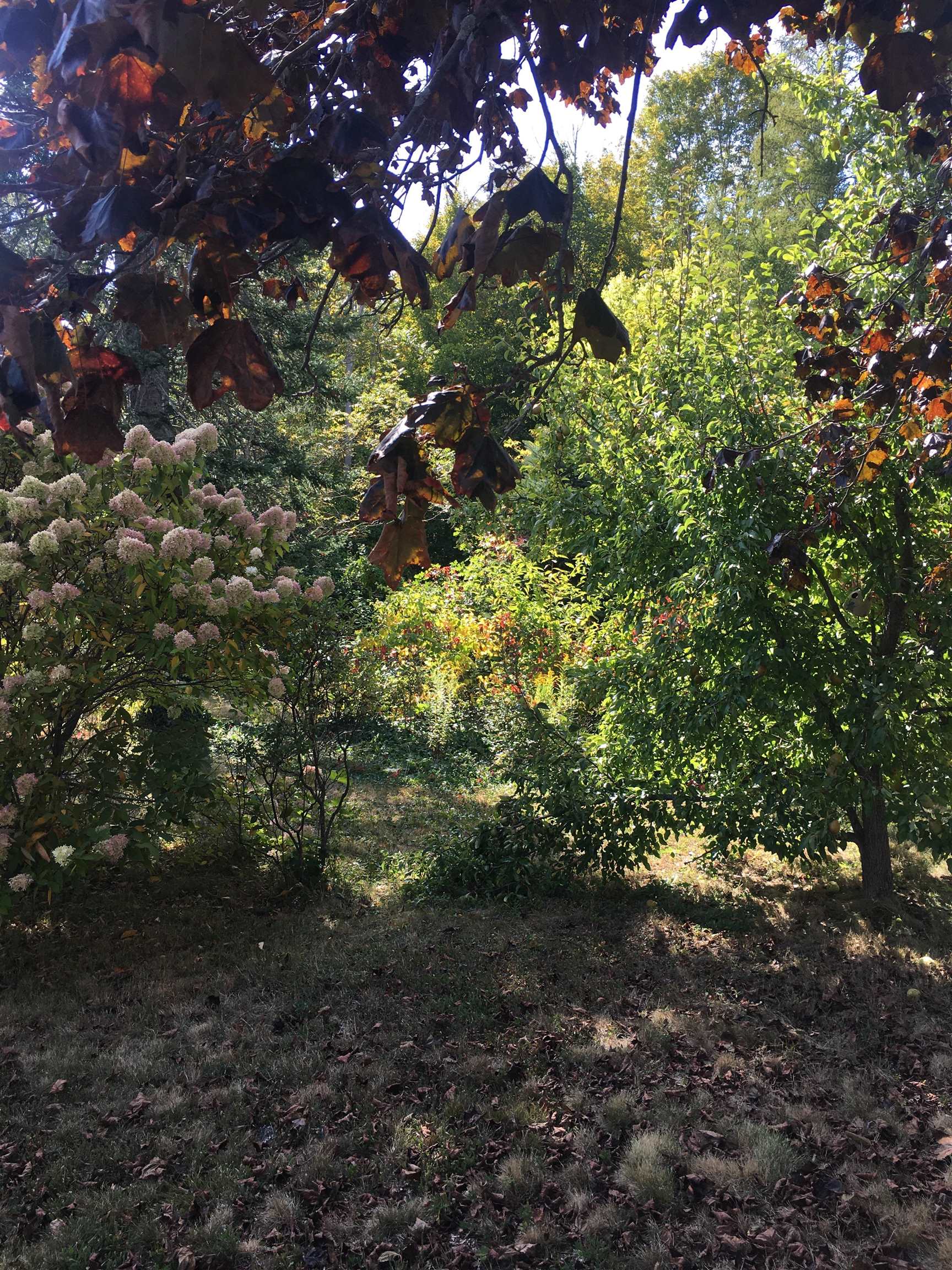 436 Elm St, Laconia, NH 03246