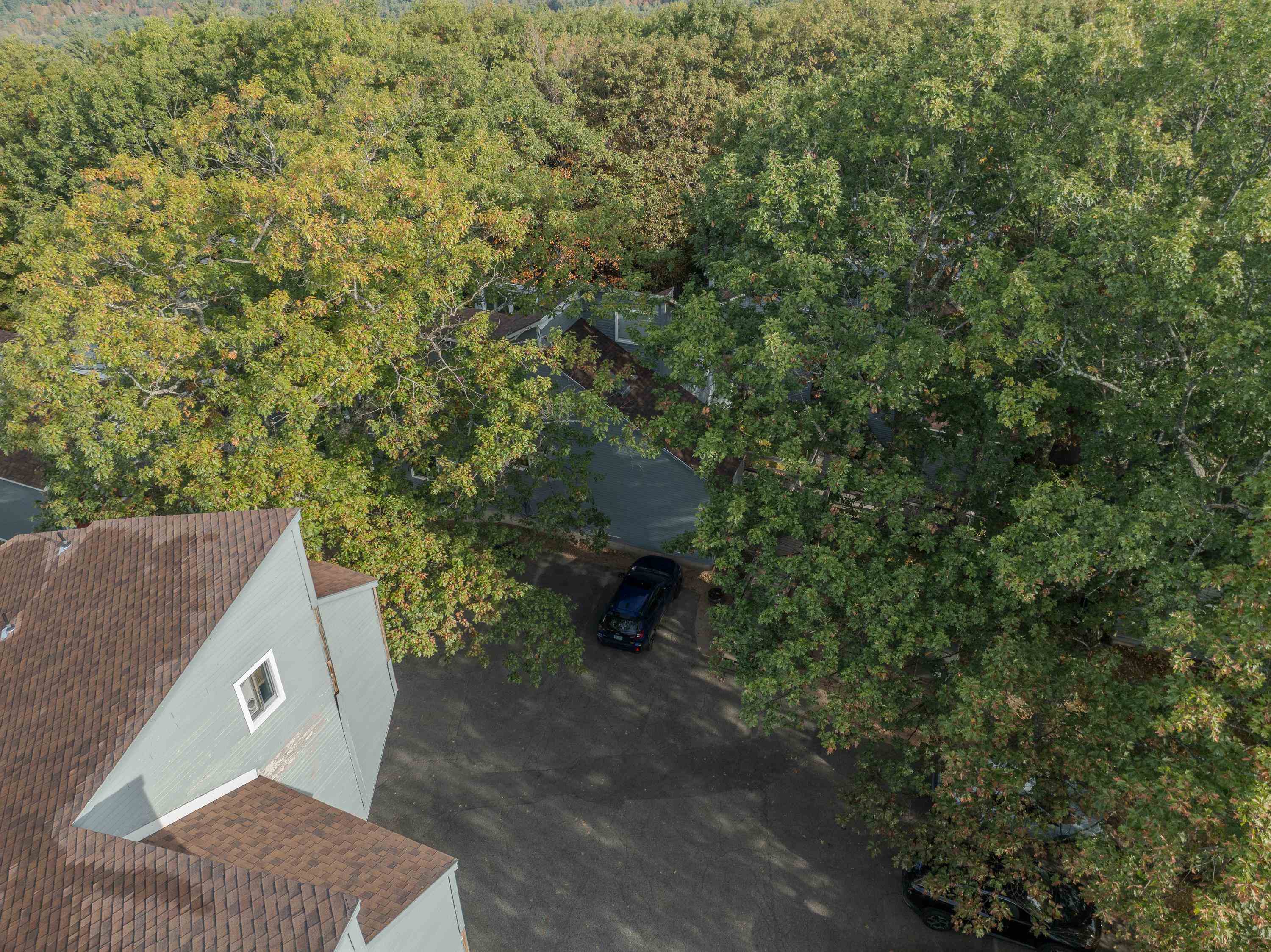 28-1 Condo Rd, Campton, NH 03223