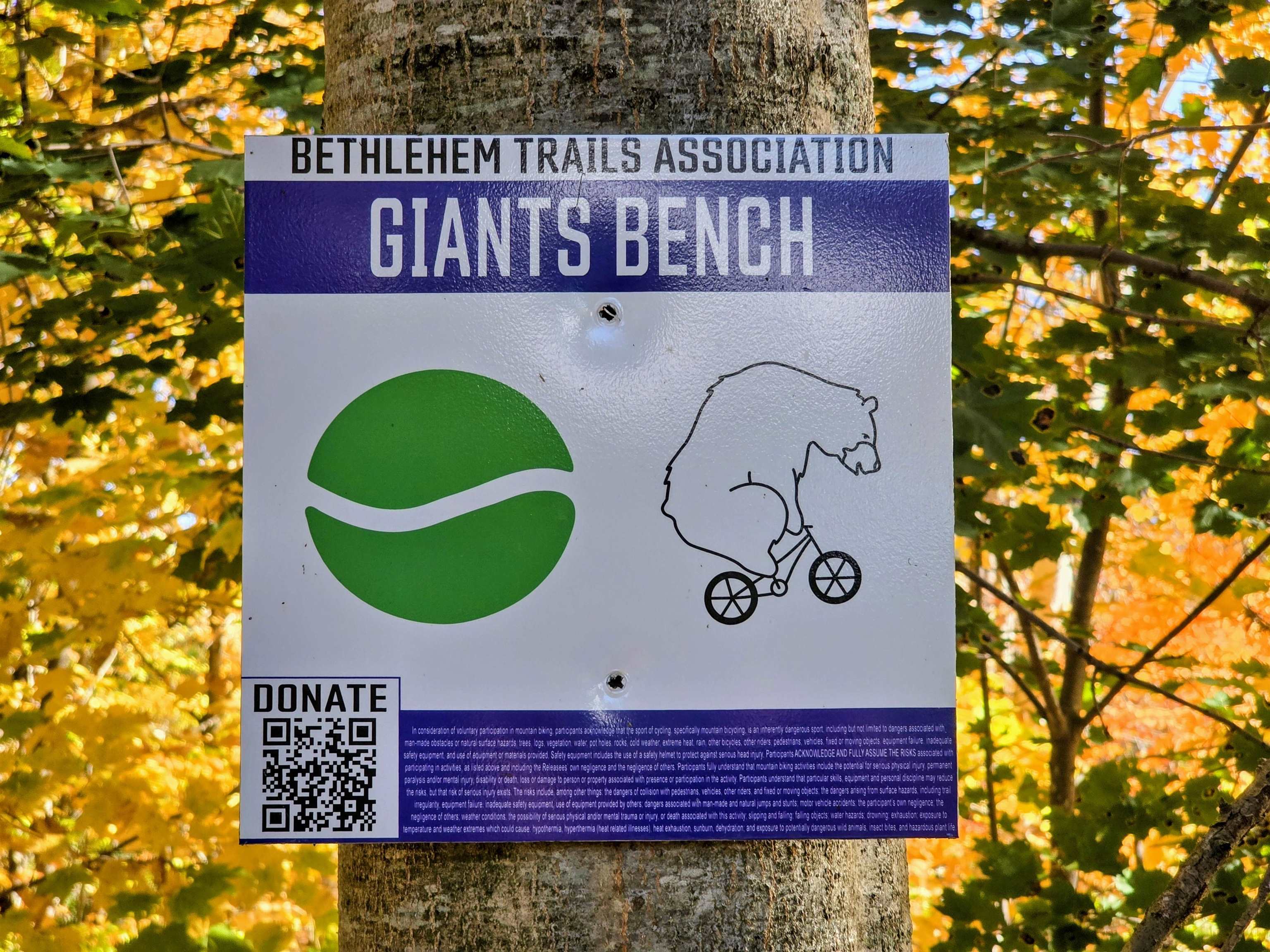 42 Maple St, Bethlehem, NH 03574