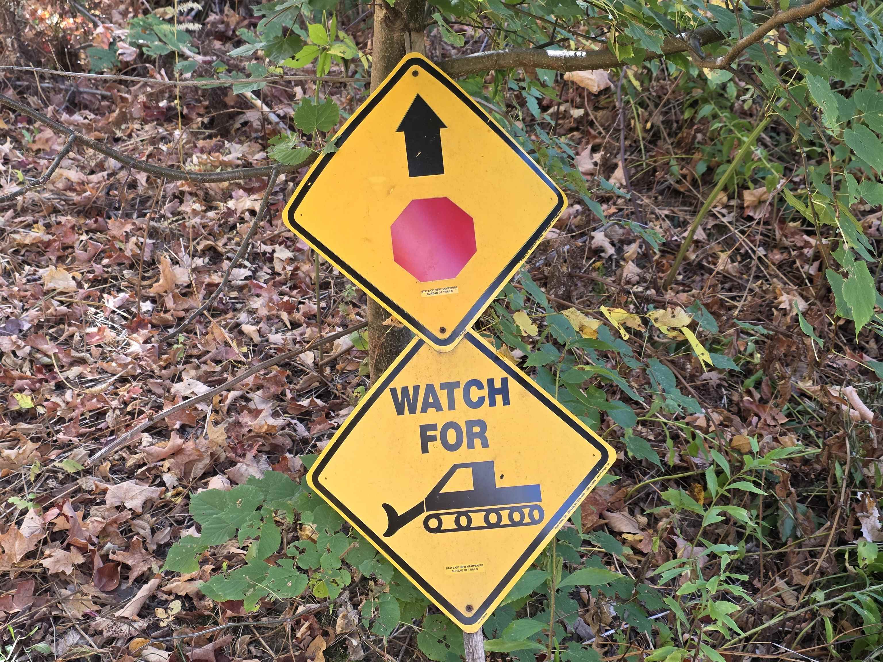 42 Maple St, Bethlehem, NH 03574