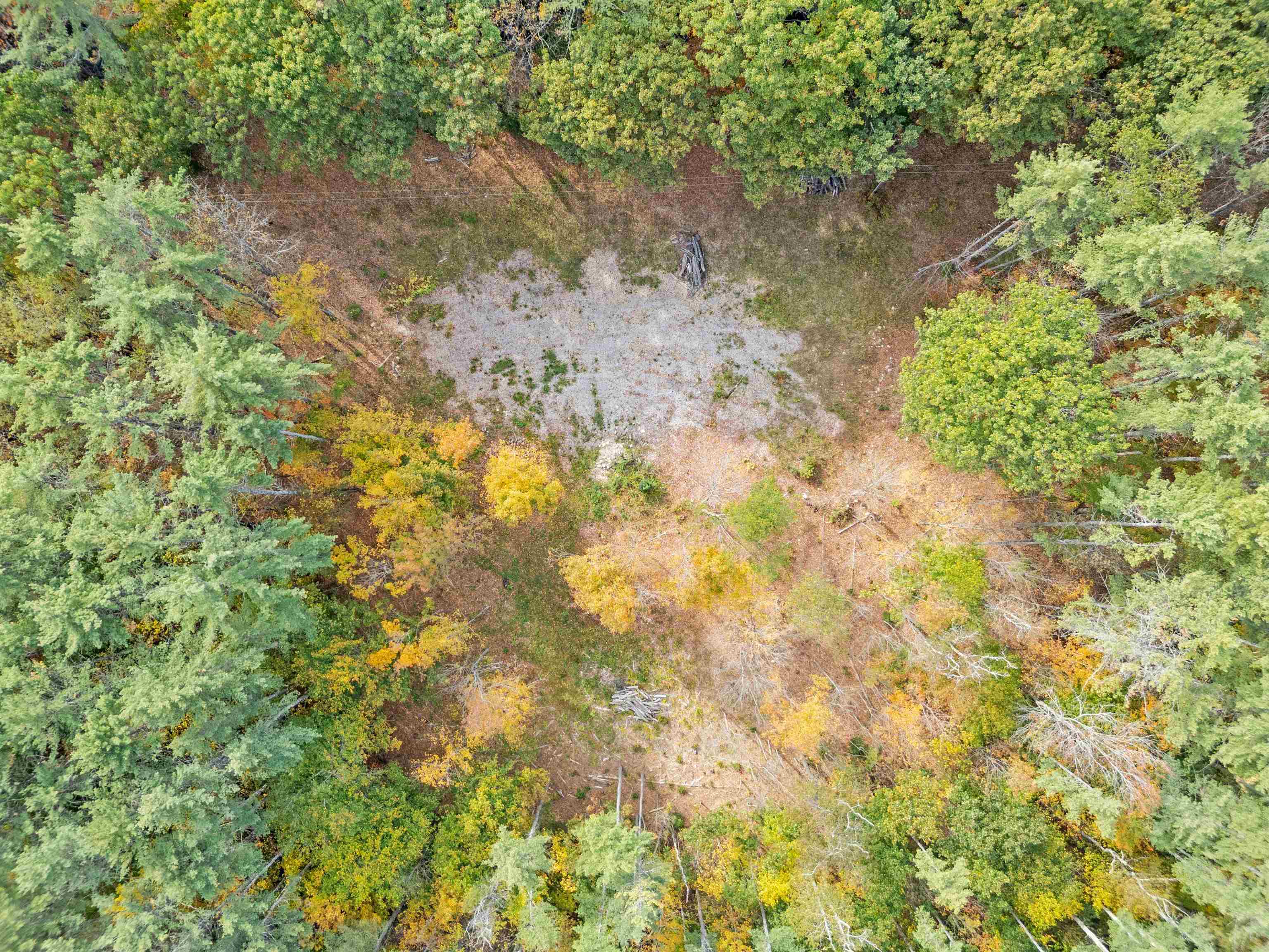 41 Foss Flats Road — photo 2