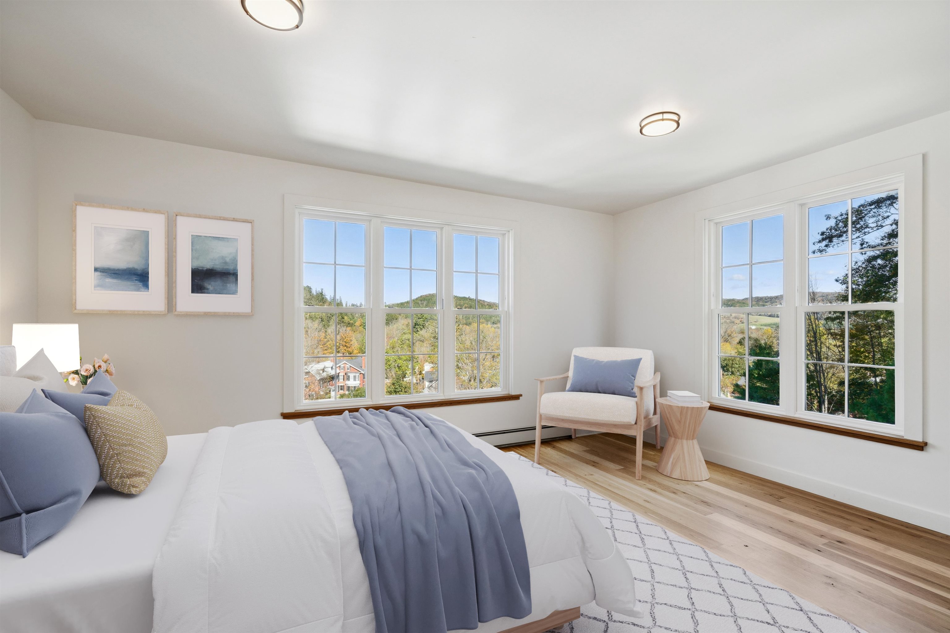 Virtually Staged 24254590