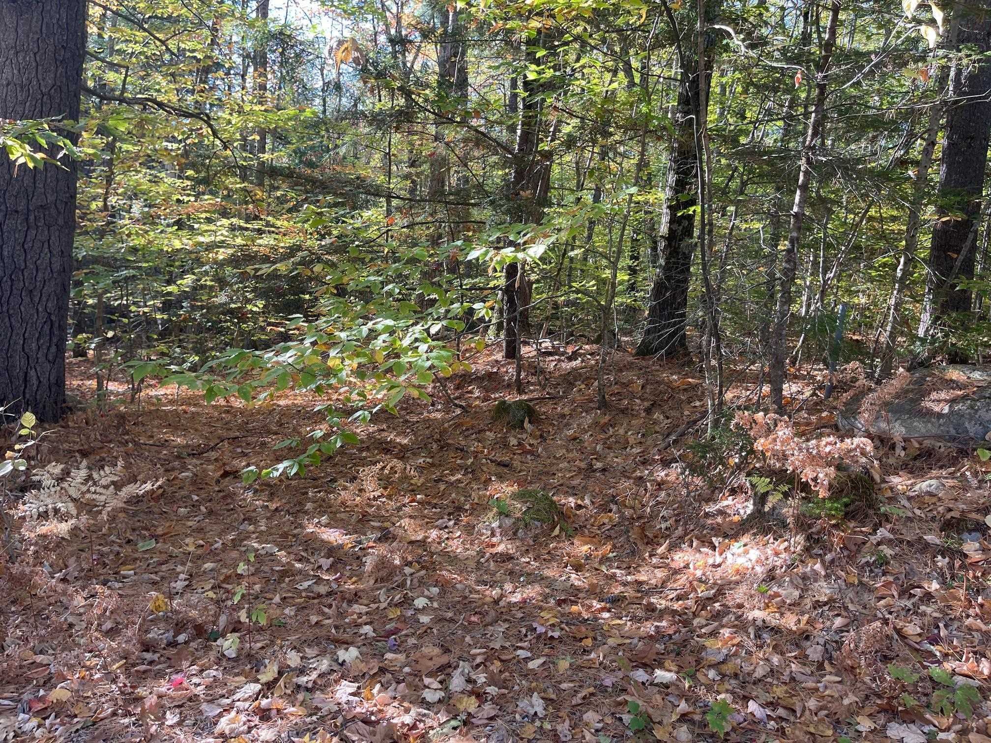 Level Land with Several Prime Building Sites