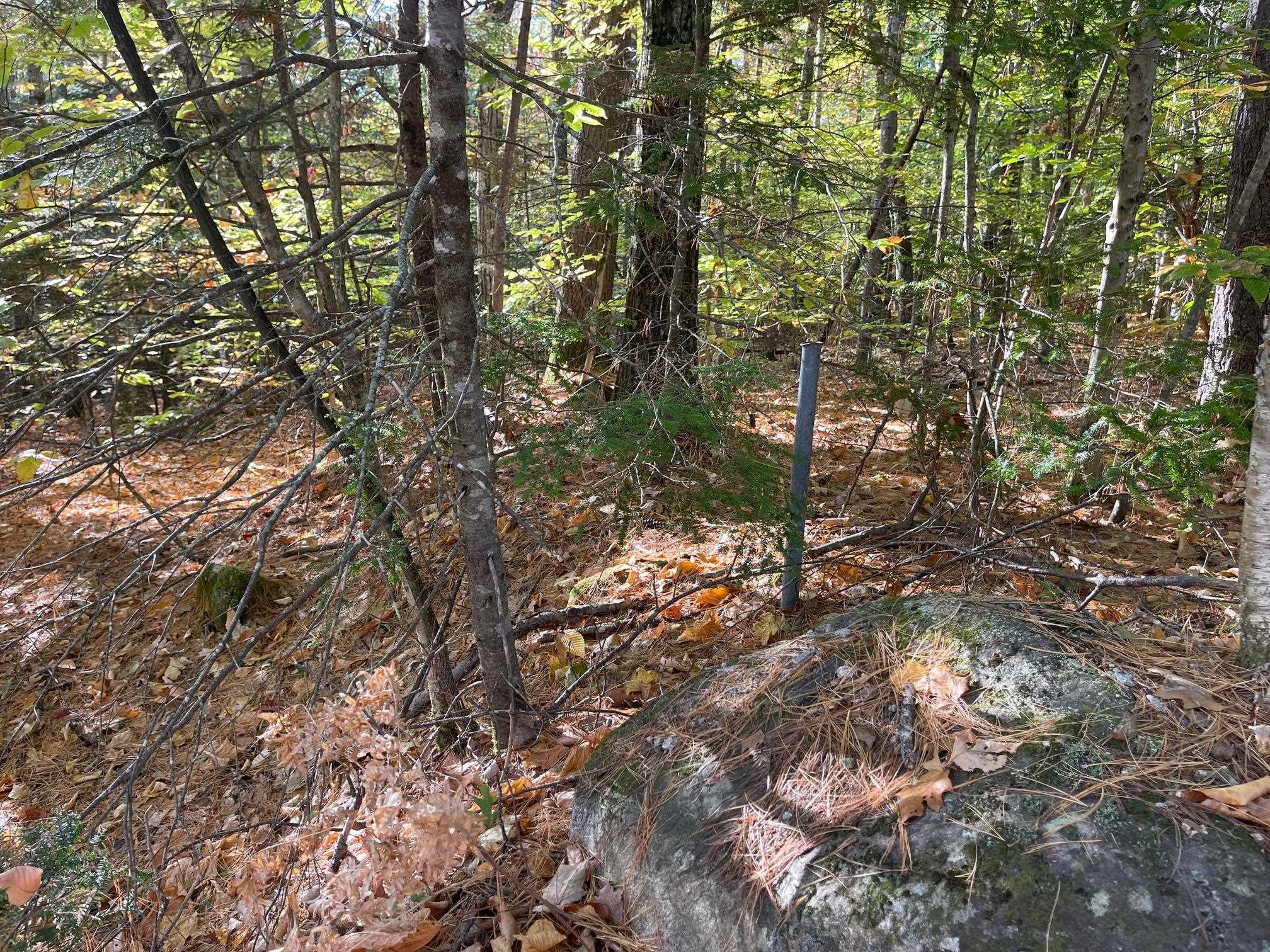 Corner are marked with Iron Pins. Survey Available