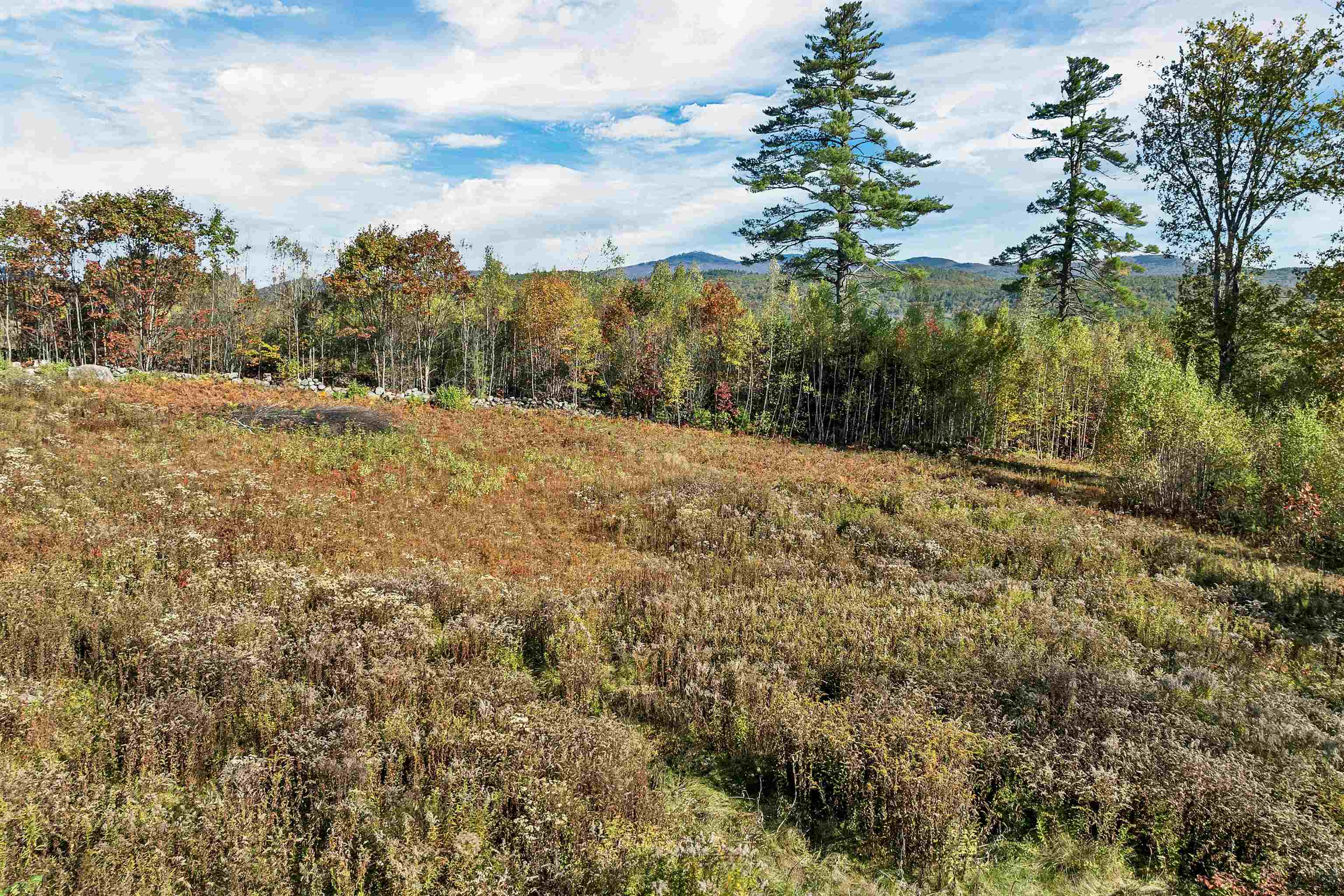 Grafton NH&nbsp;Land for sale $$150,000 | 1.89 Acres  | Price Per Acre $0  | Total Lots 2