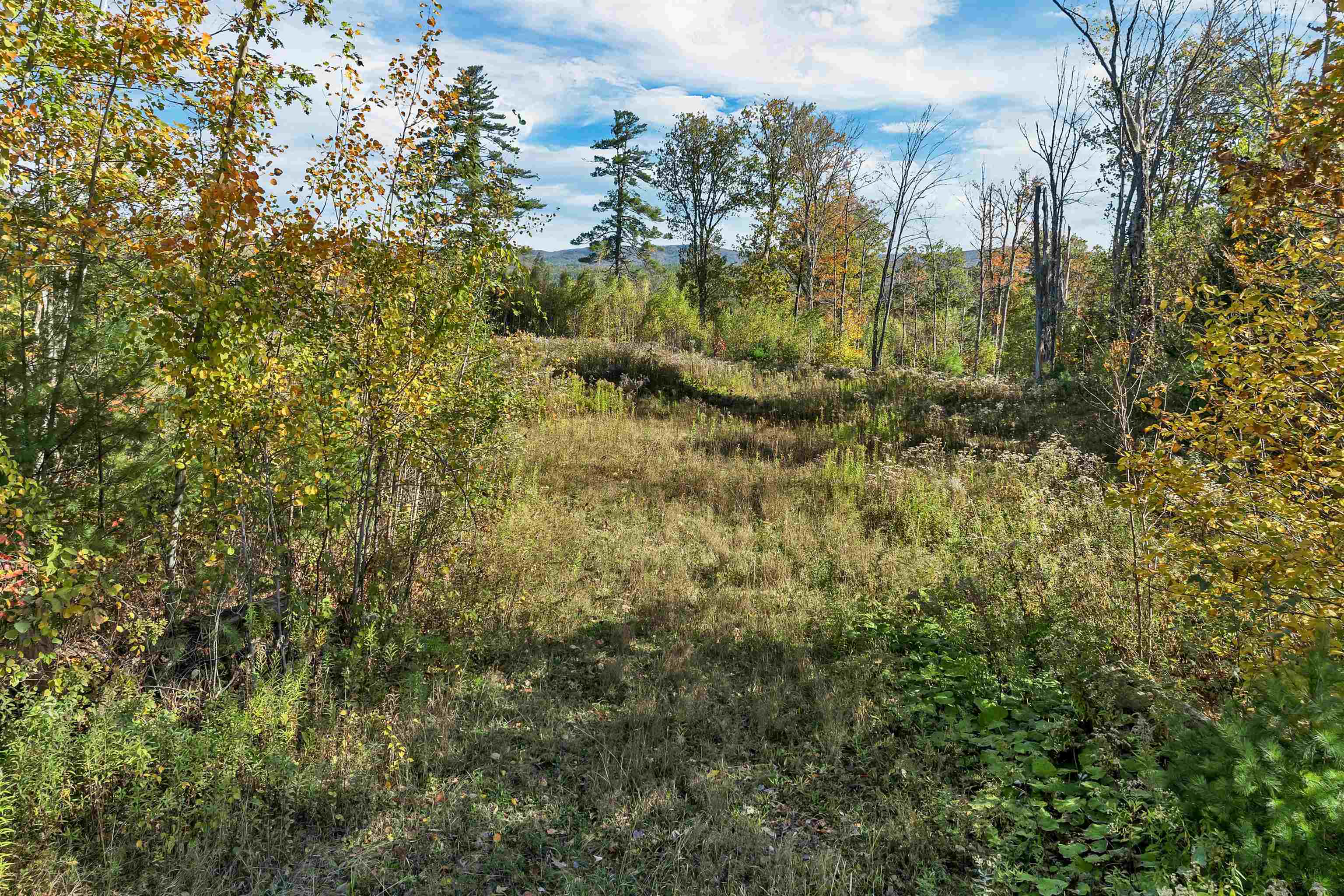 44 Williams Hill Rd, Grafton, NH 03240