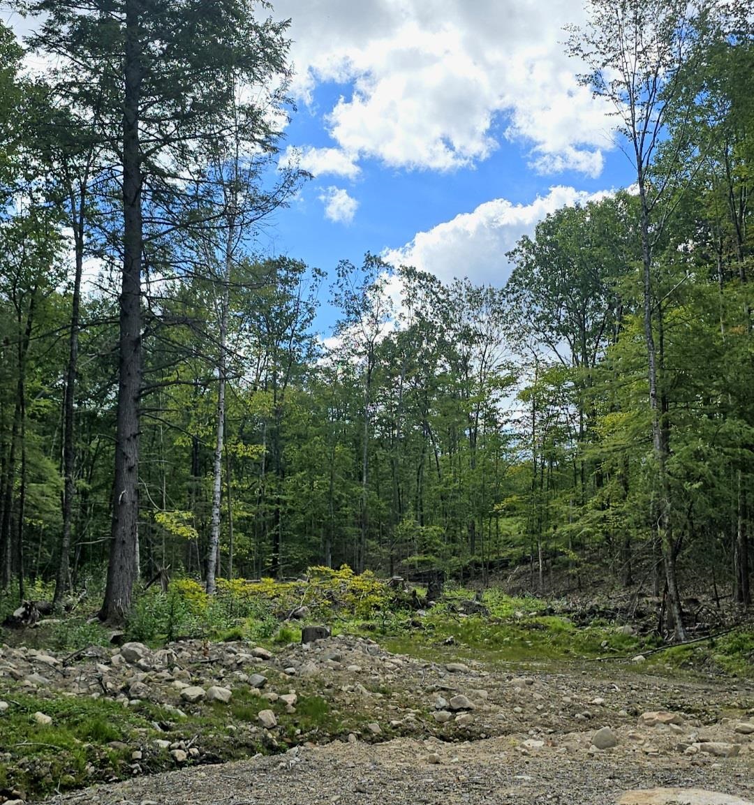 000 Garmish Drive — photo 3