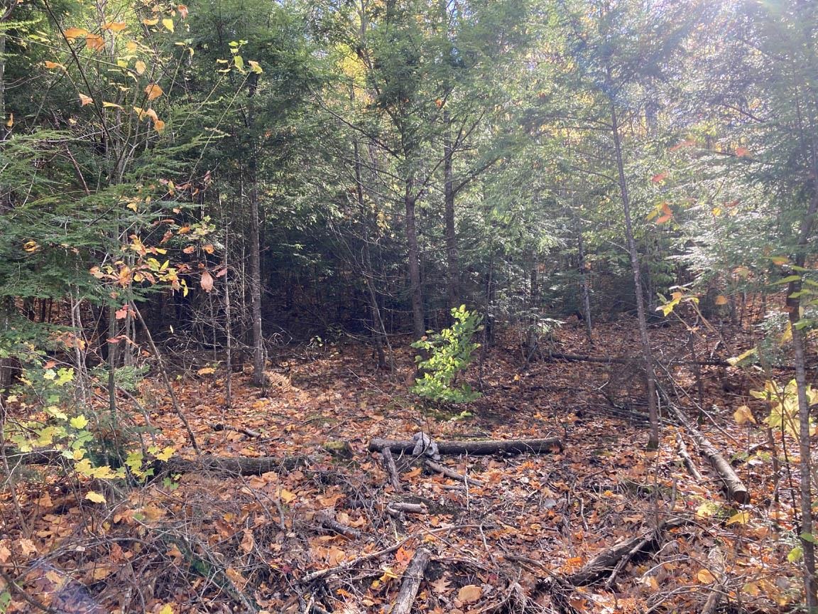 Abnaki Trl, Campton, NH 03223