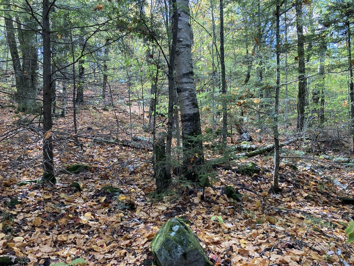 0 Abnaki Trl, Campton, NH 03223