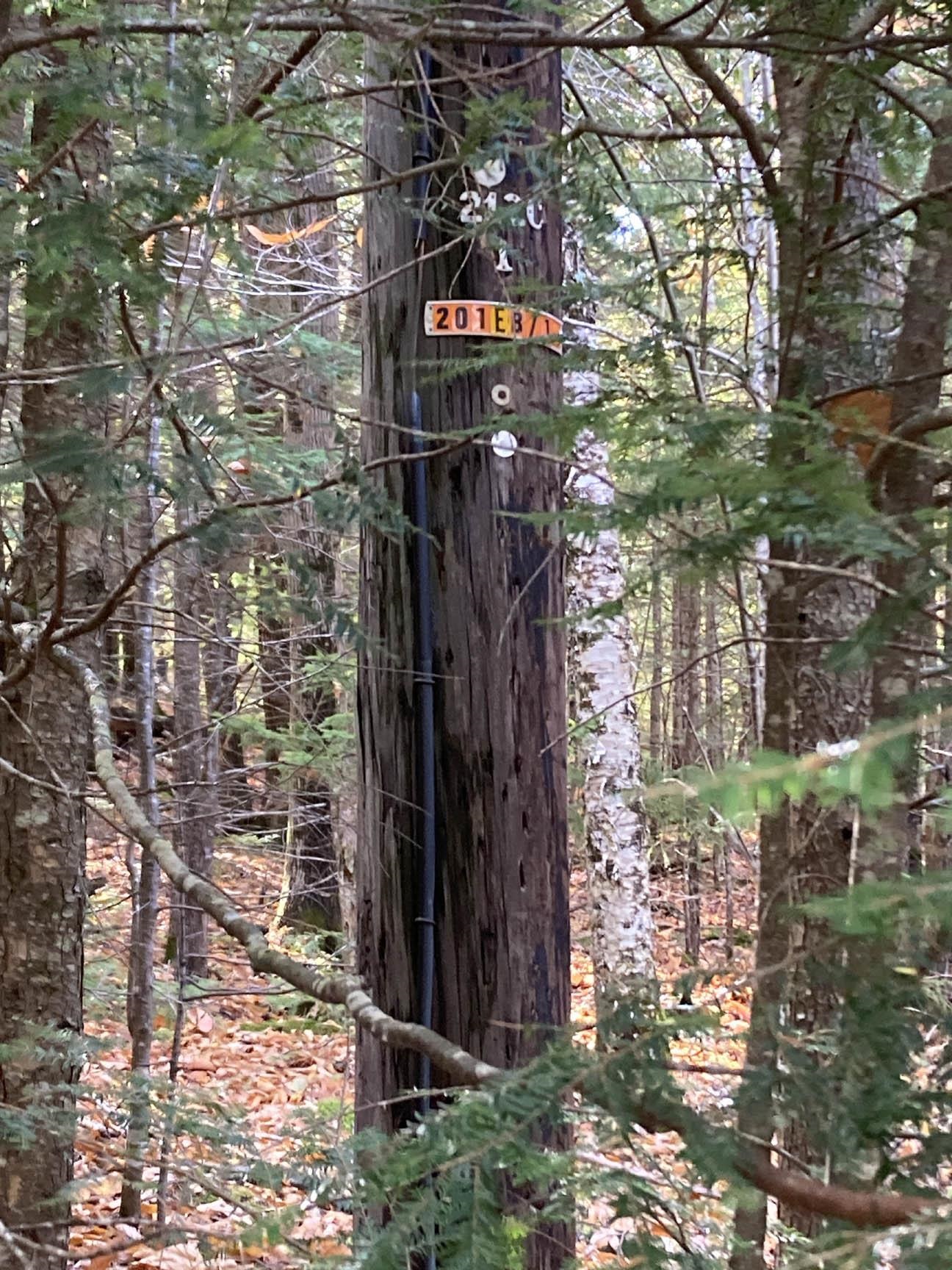 0 Abnaki Trl, Campton, NH 03223