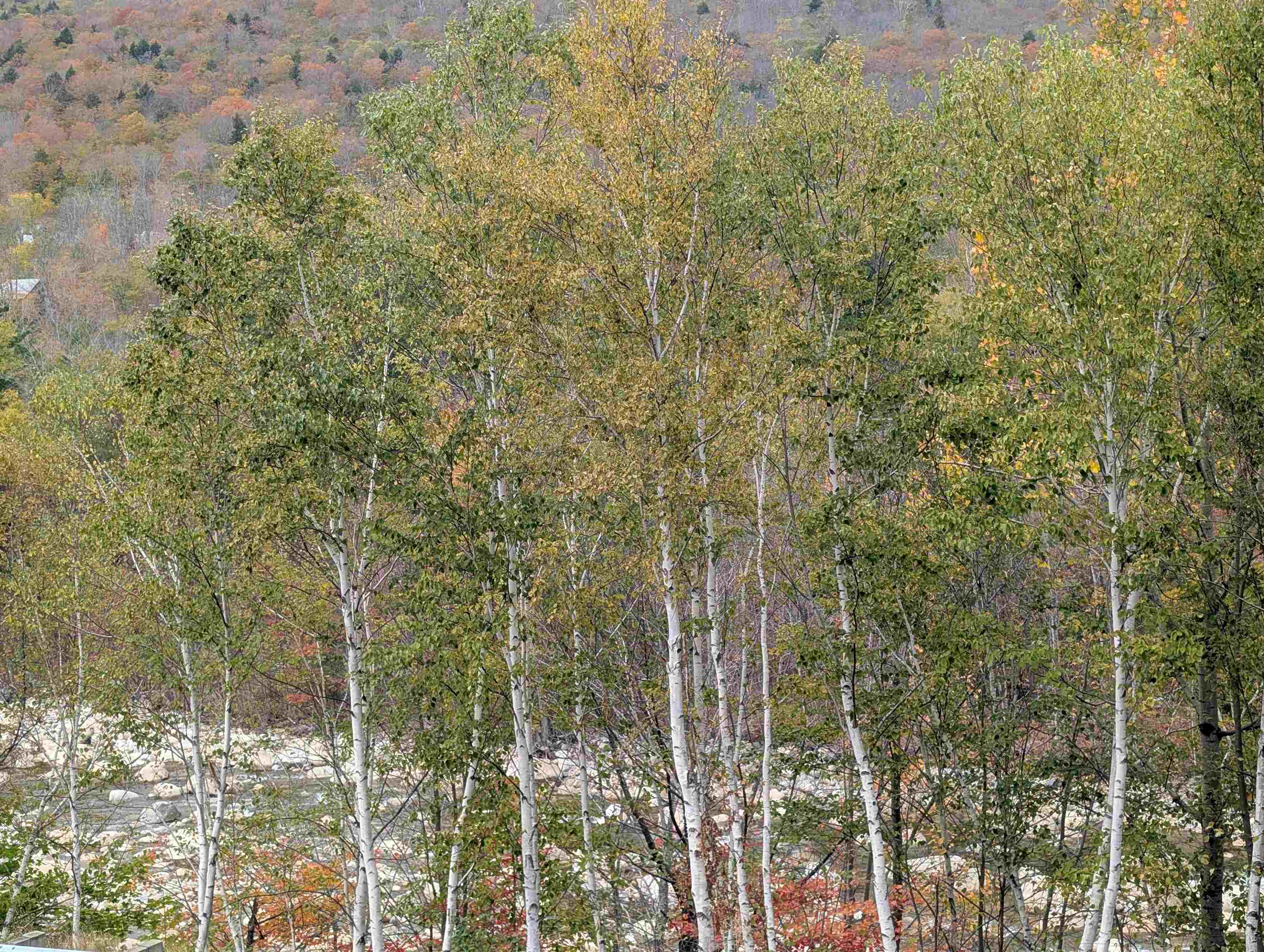 90 Loon Mountain Rd, Lincoln, NH 03251