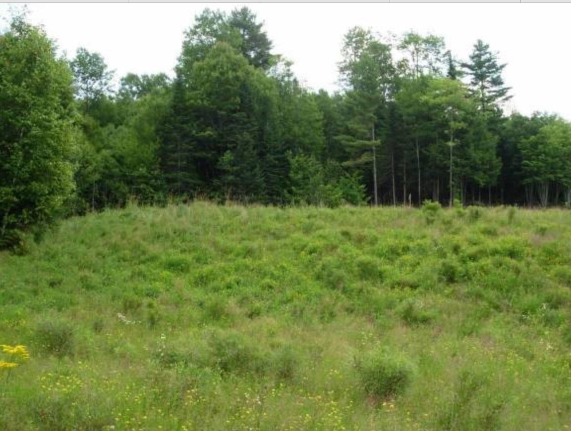 Lot 4 Catterall Rd, Lisbon, NH 03585