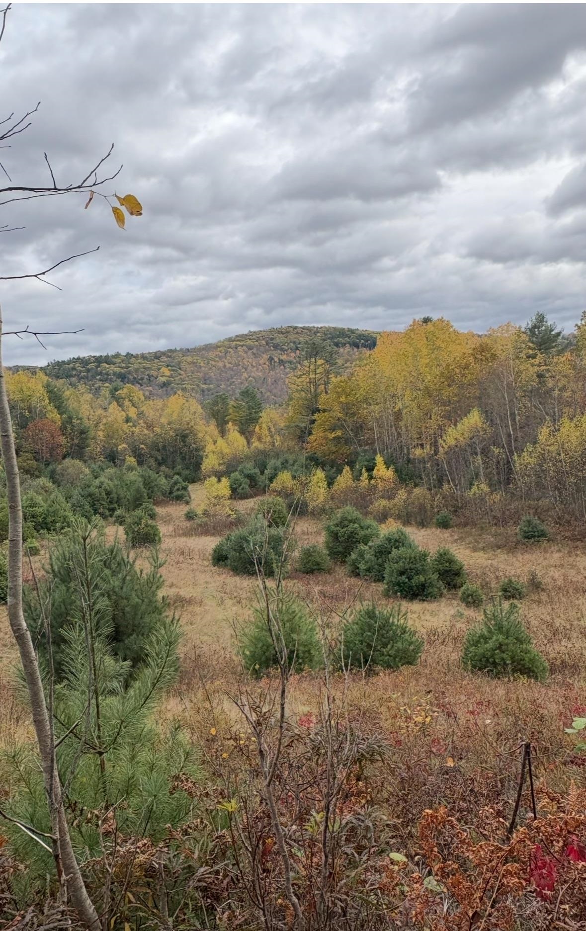 Lot 4 Catterall Rd, Lisbon, NH 03585