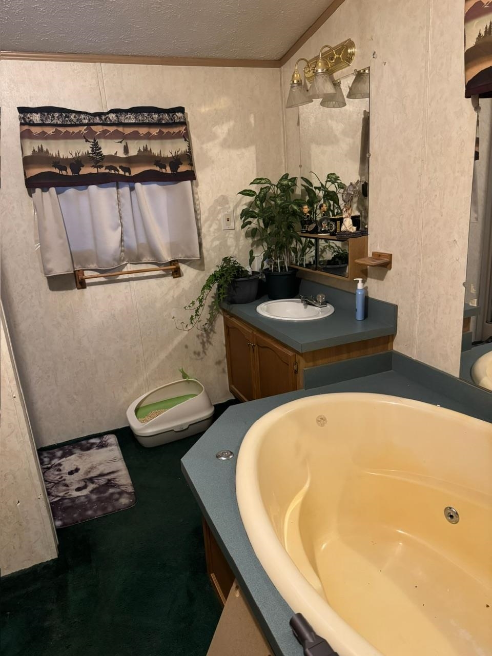 347 Chase Rd, Sandwich, NH 03259