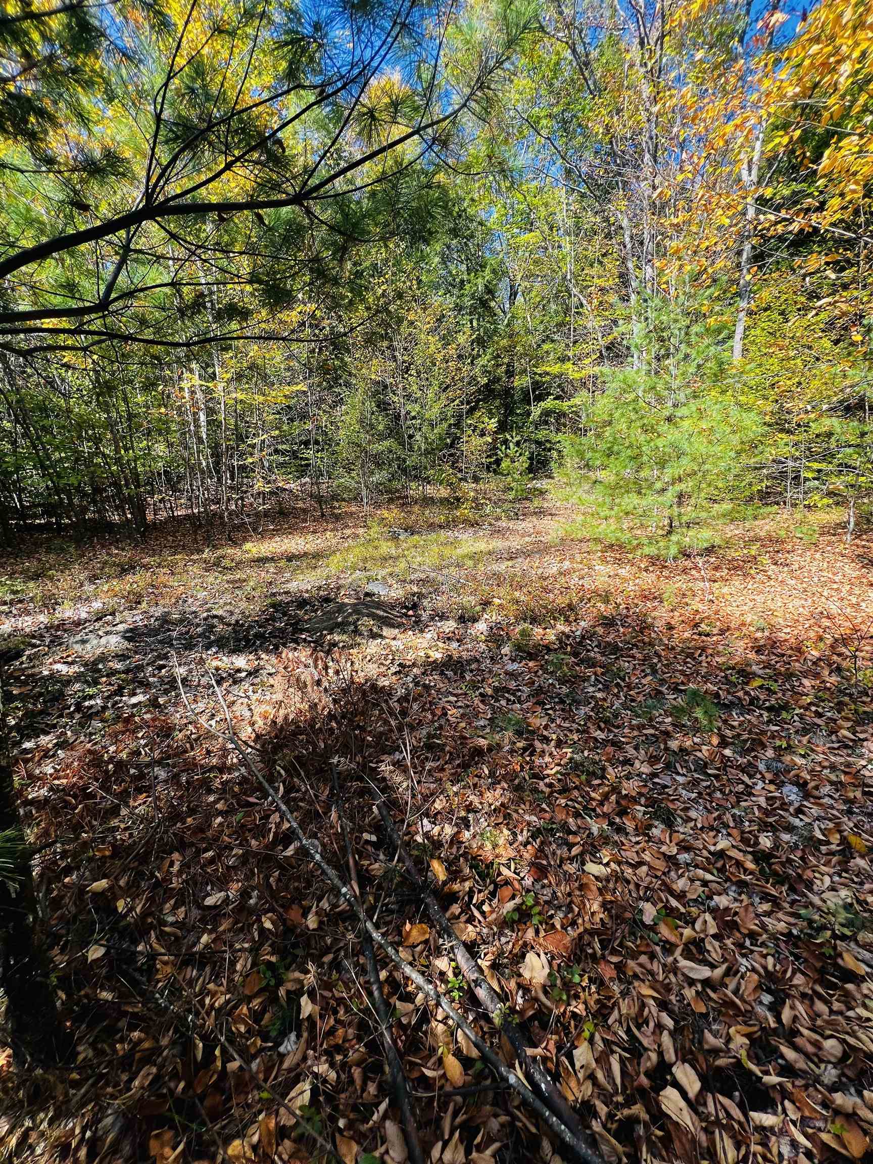 Richmond NH&nbsp;Land for sale $$225,000 | 22.4 Acres  | Price Per Acre $0 
